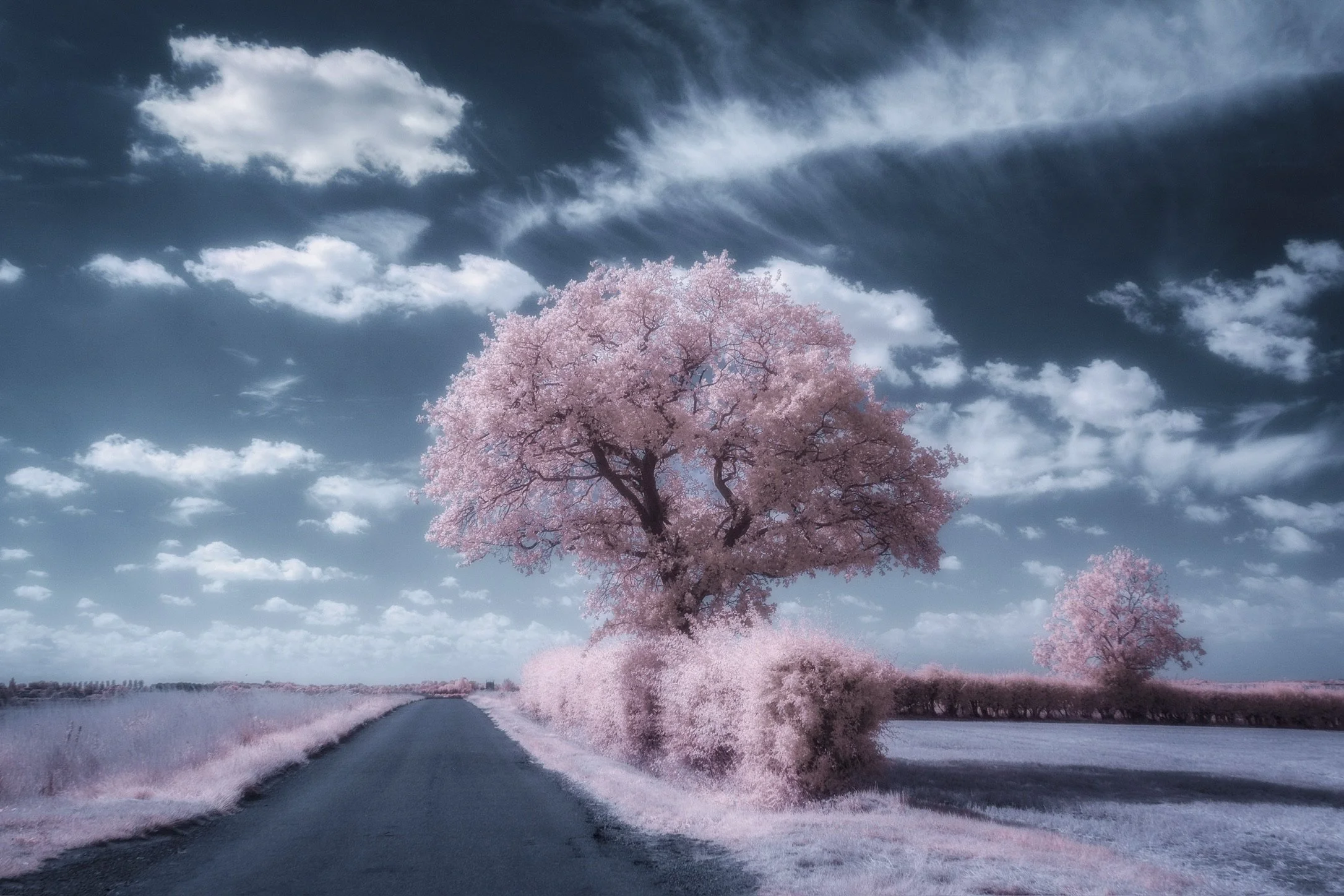 "Candyfloss Lane" #2