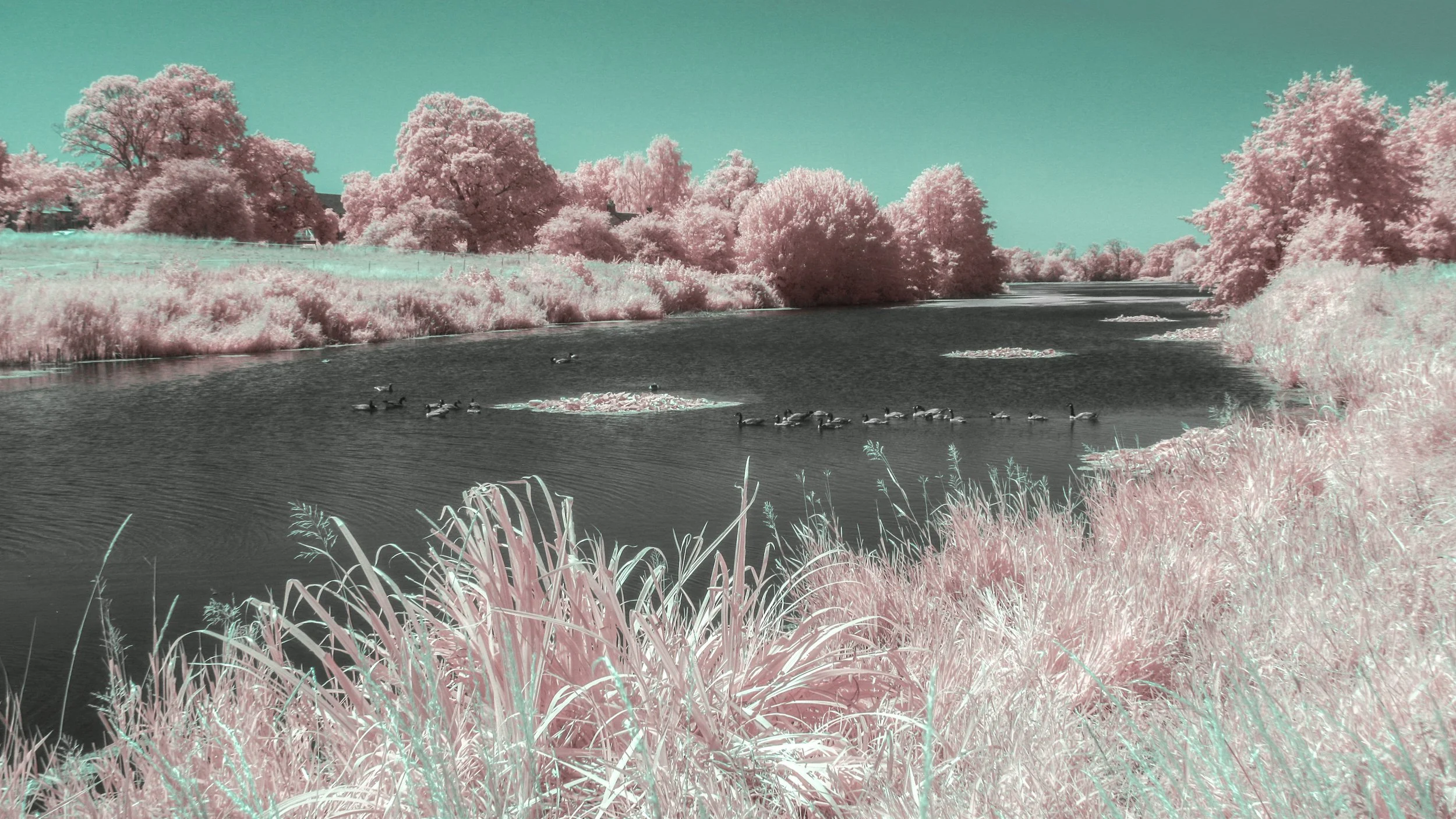 "Fillingham Lake" #2