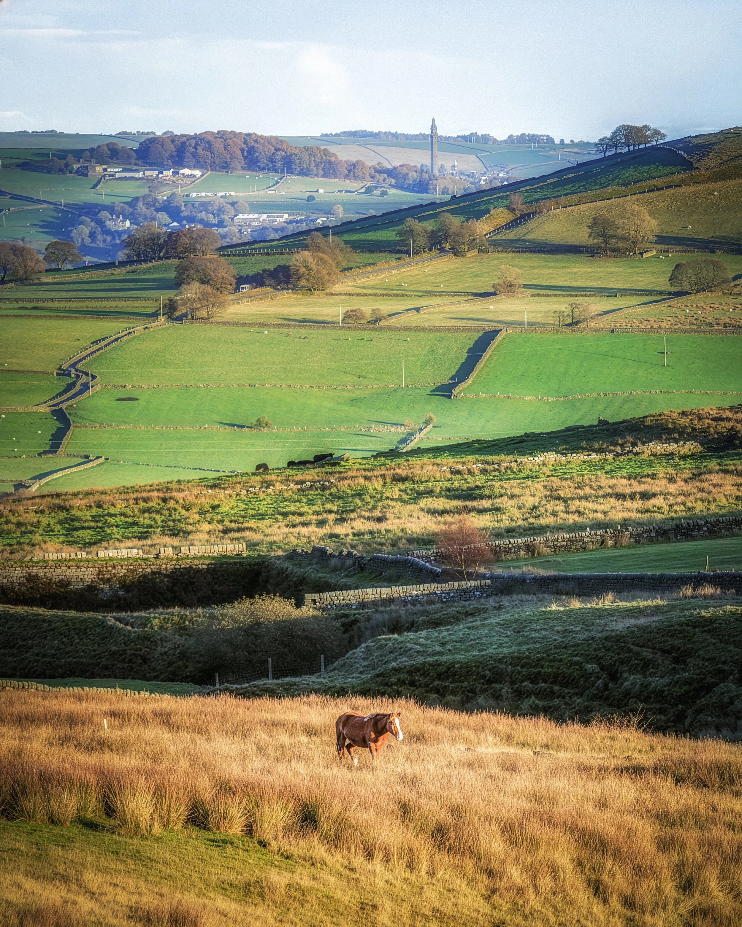 "Blackshaw Head #2"