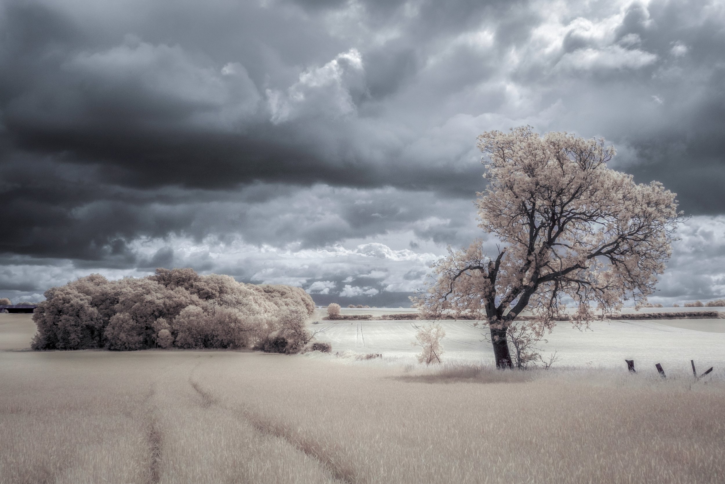 "Willoughton Field View"
