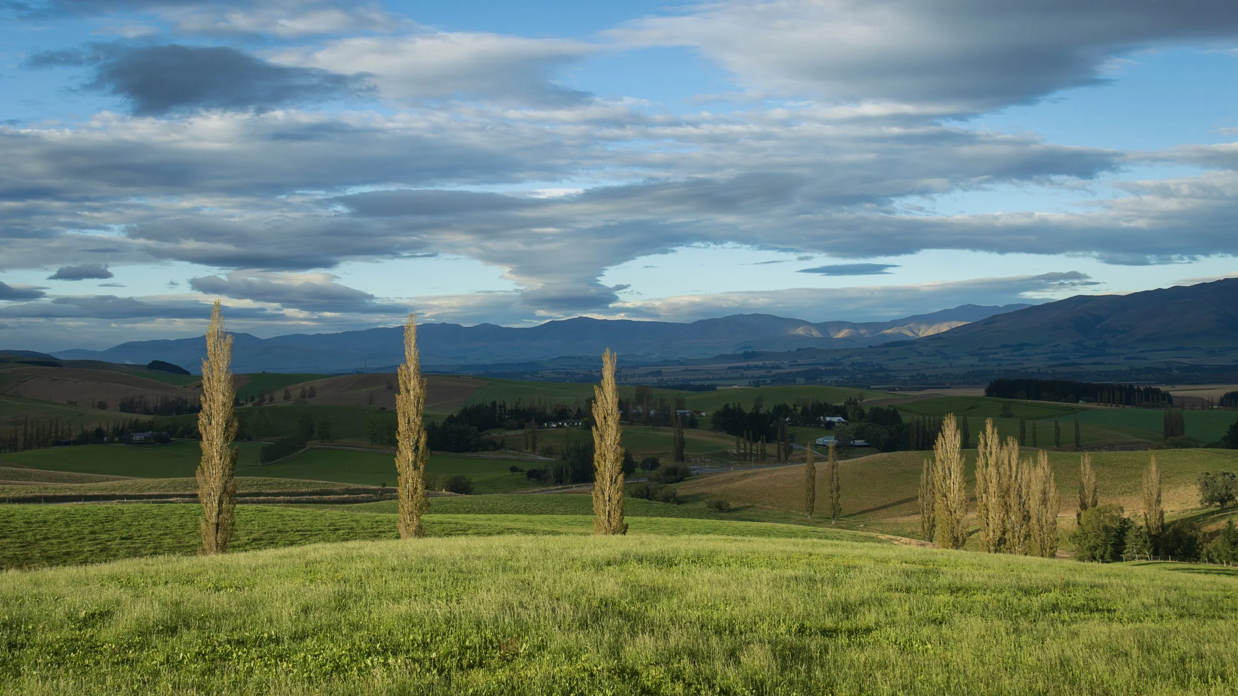 Fairlee/Mckenzie County #2, South Island, New Zealand 