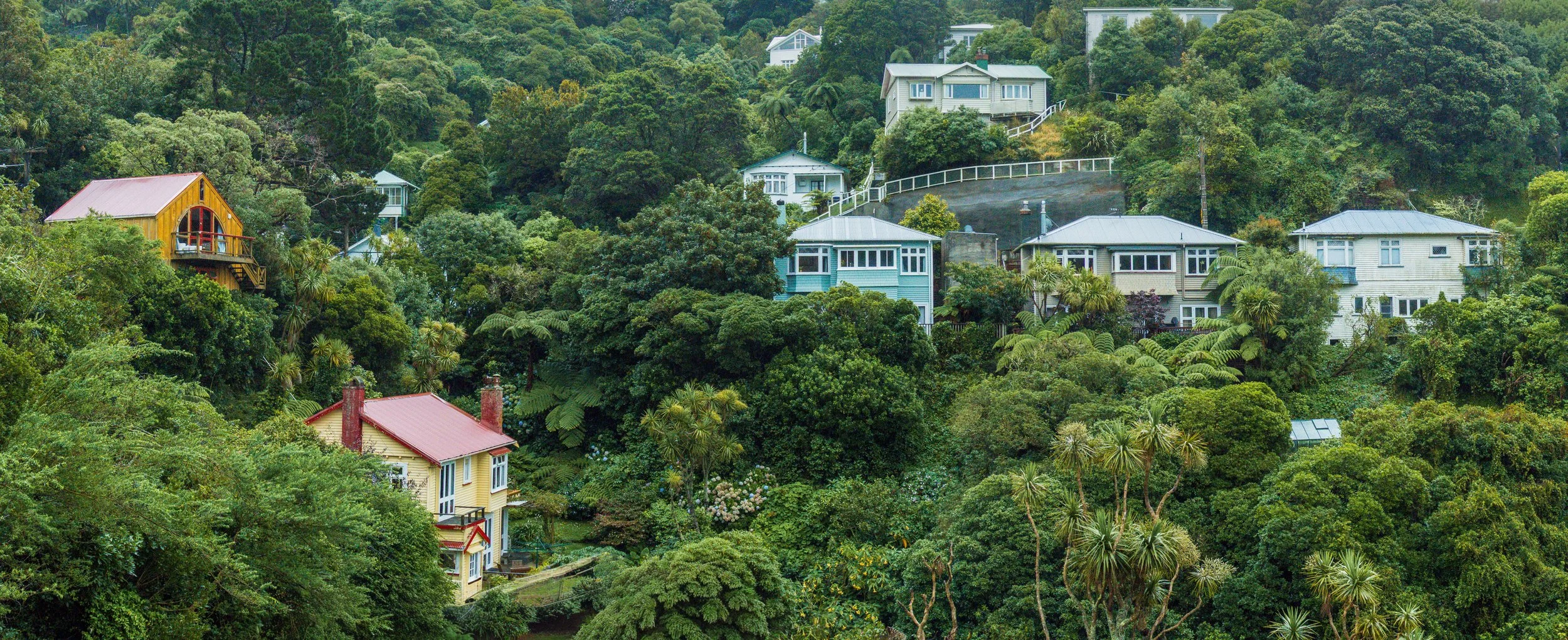 Wellington, New Zealand