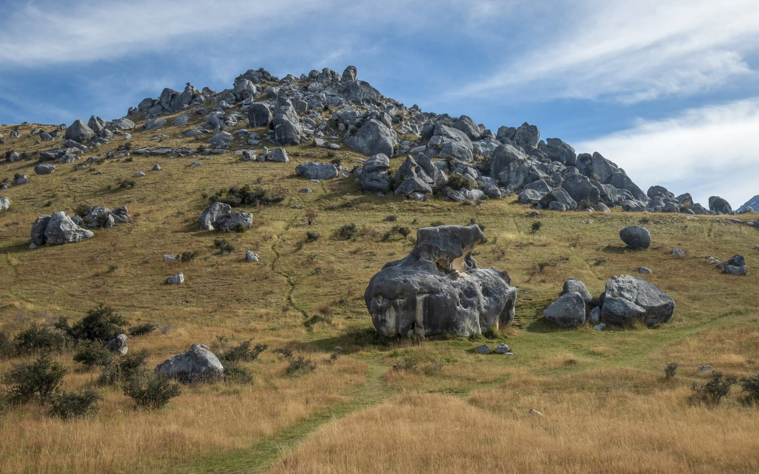 Castle Hill #4, New Zealand