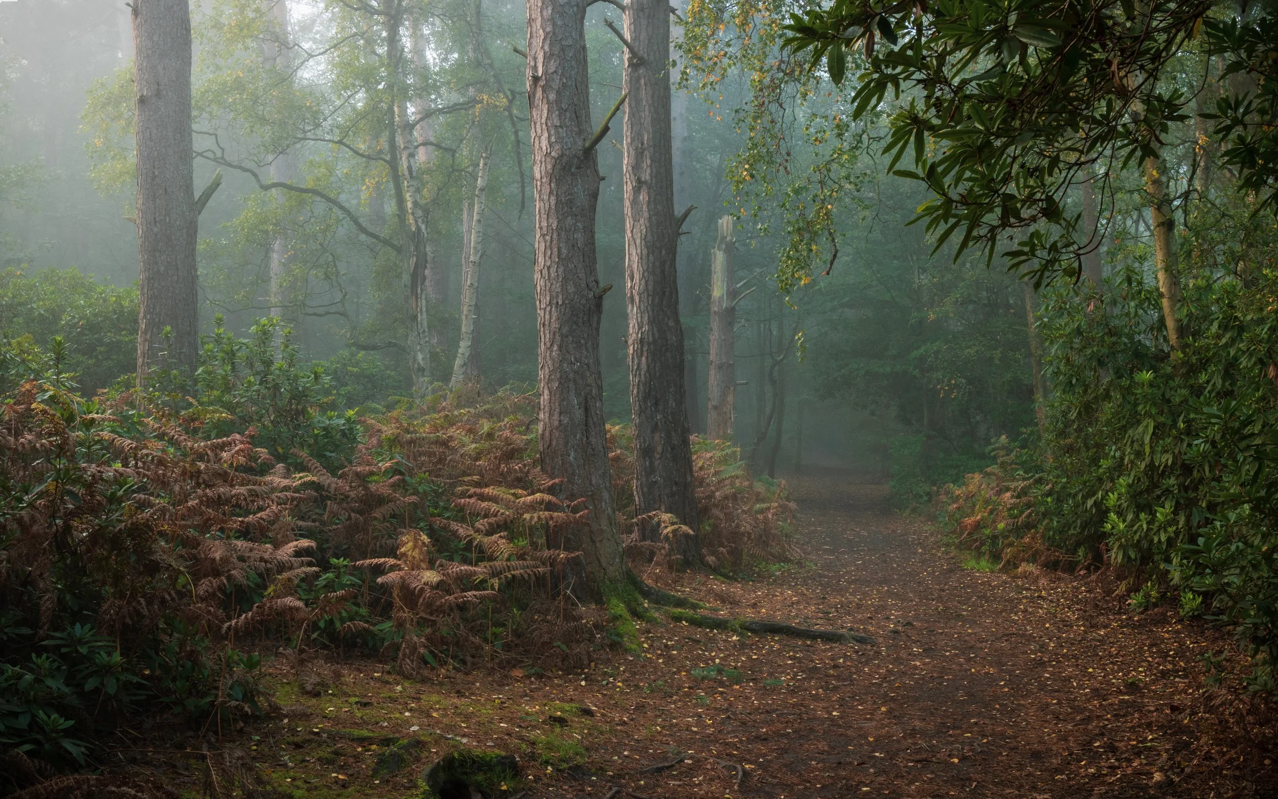 "Thoroughfare"