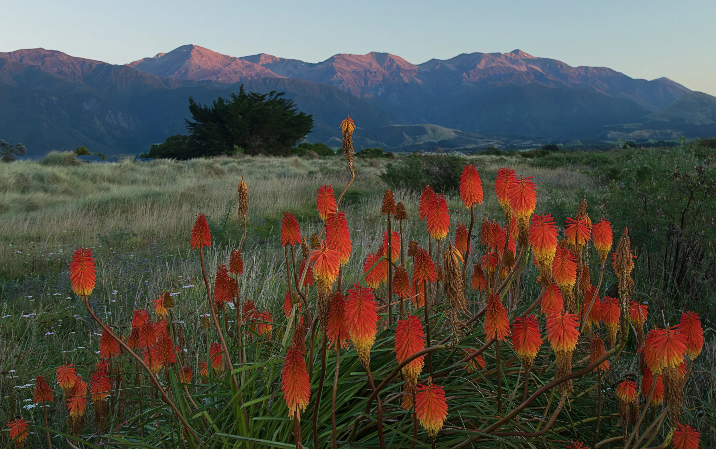 Kaikoura, New Zealand