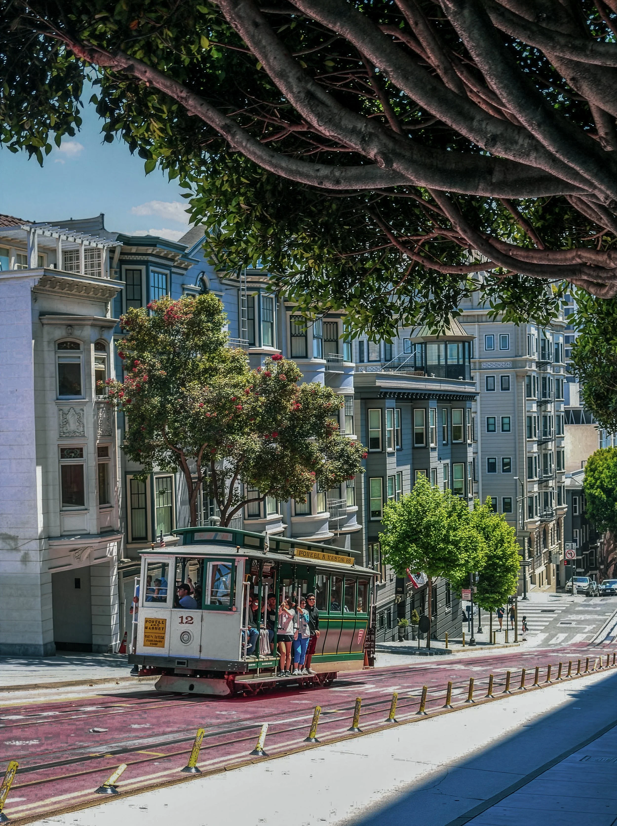 "San Fransisco, California, USA"