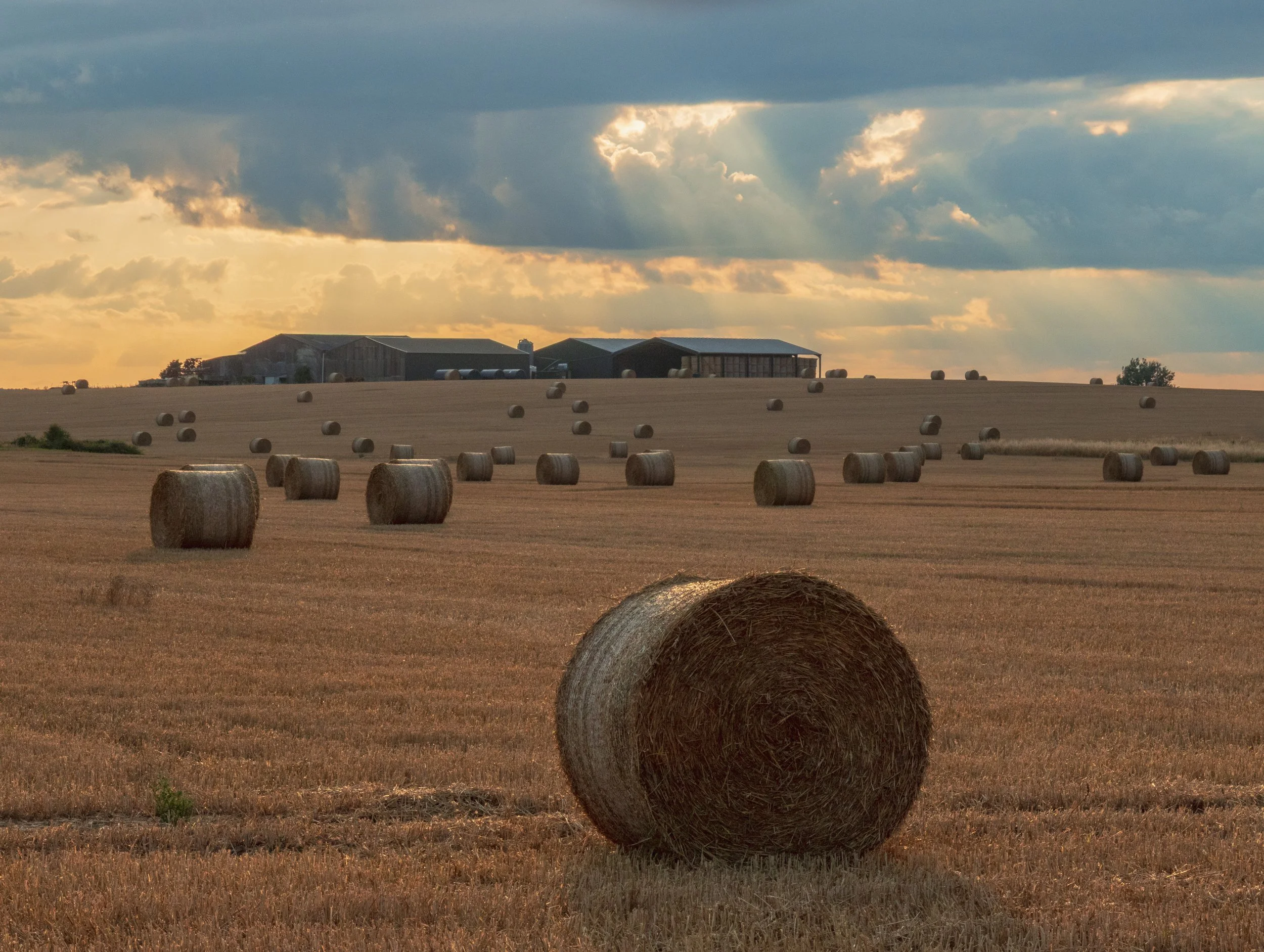 "Grayingham Prairies " #27
