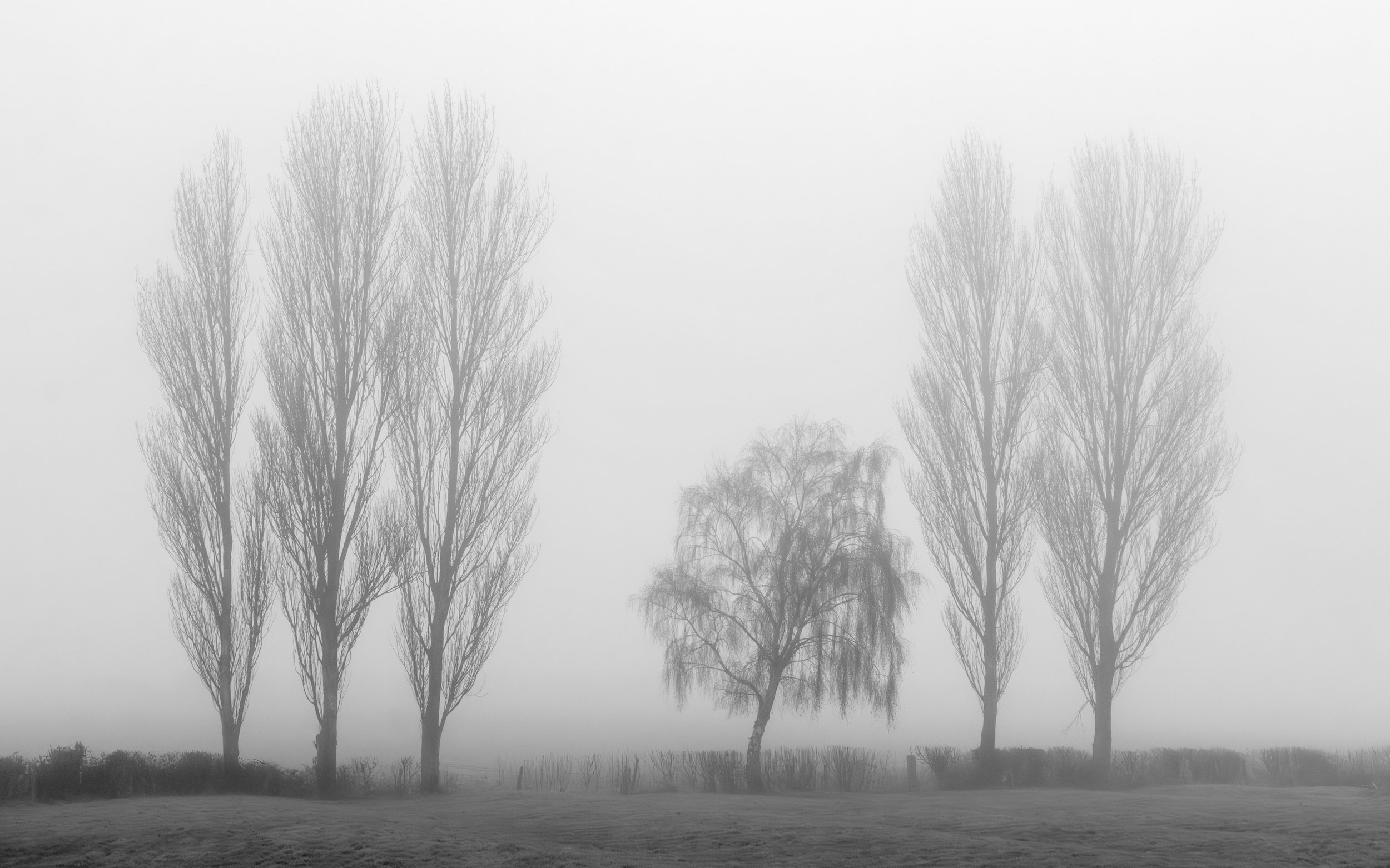 "Gainsborough Road" #2