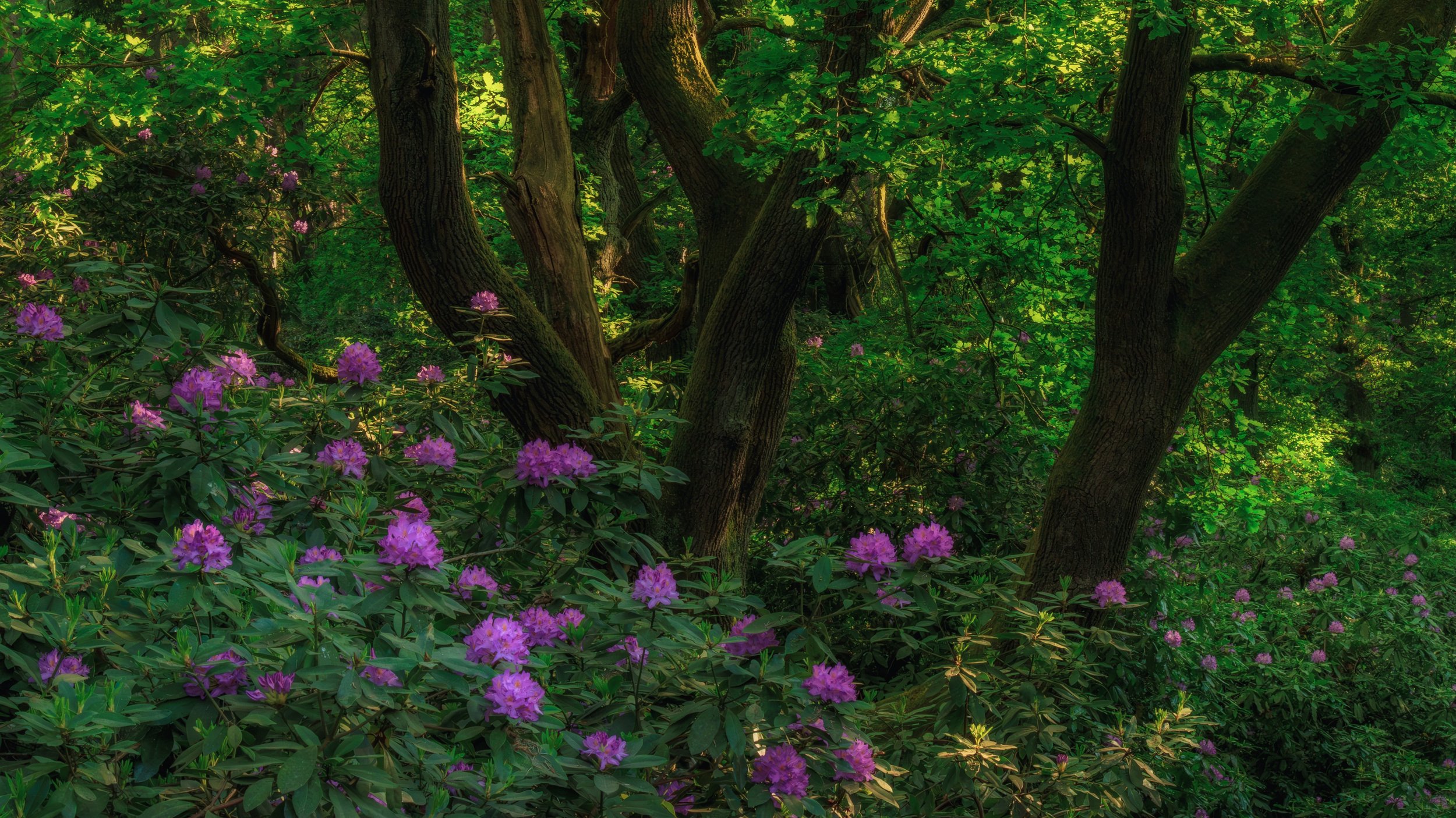 "Twigmoor #2"