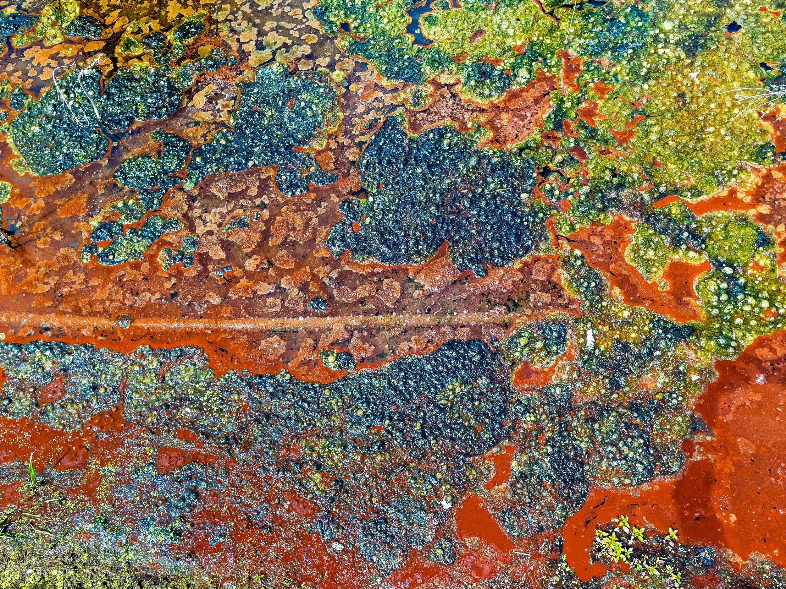 "Abstract #1 - Waimangu Volcanic Valley, NZ"