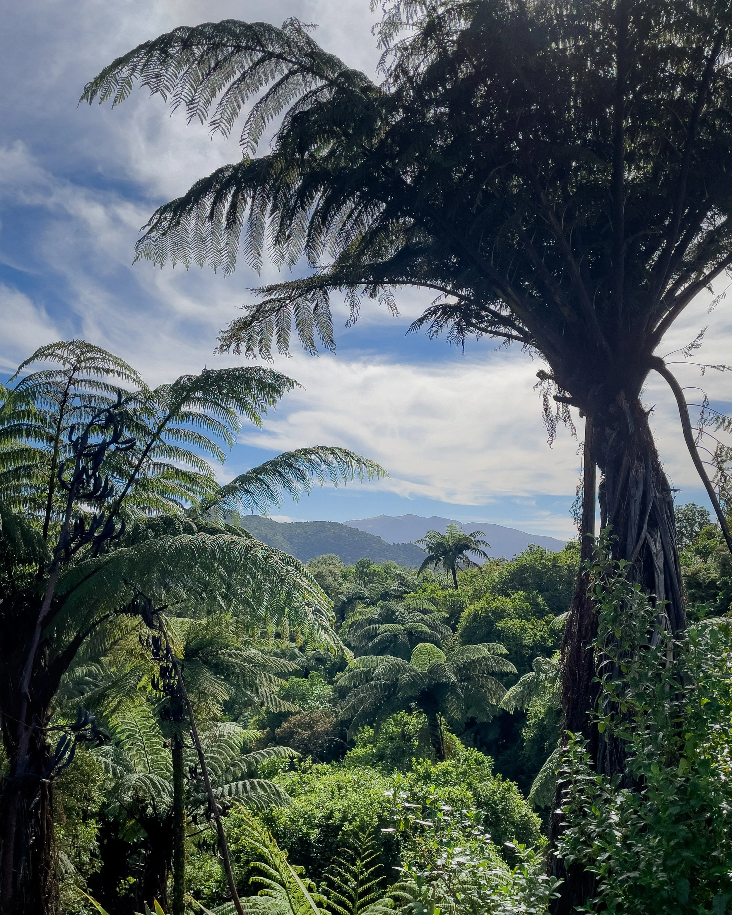 Waimangu Volcanic Valley #2, Rotorua, New Zealand