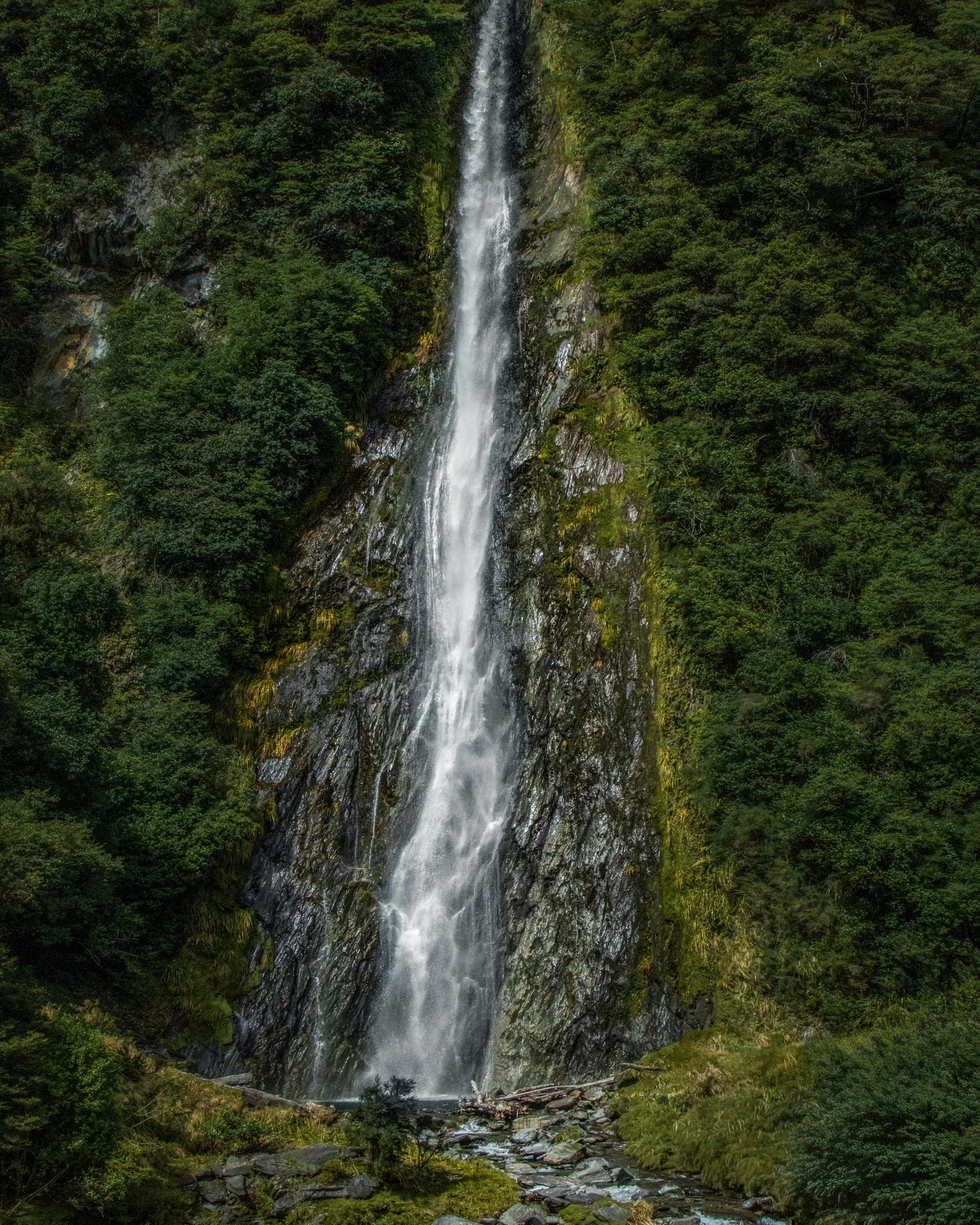 Thunder Creek Waterfall, West Coast, New Zealand