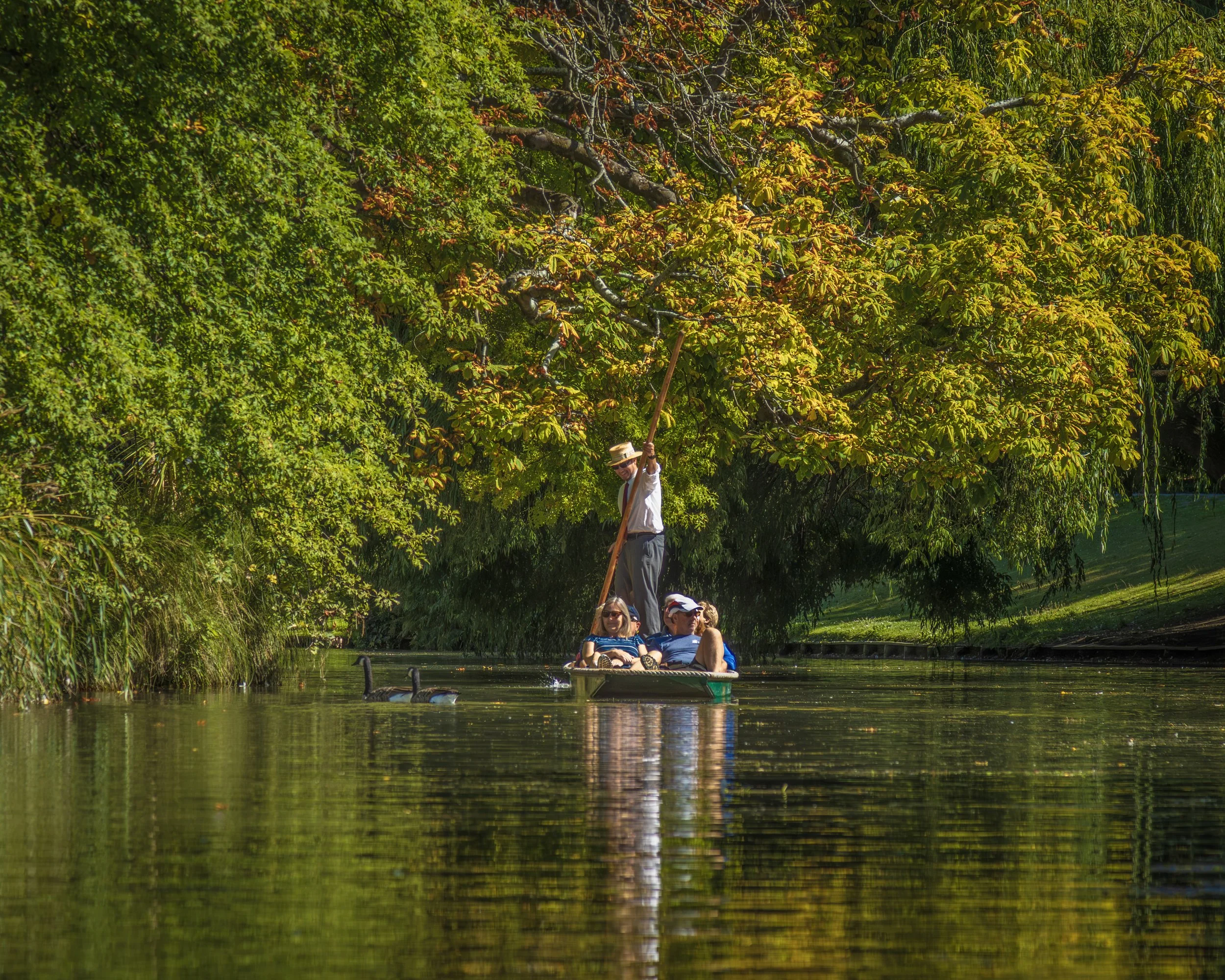 River Avon Punting, Christchurch, New Zealand