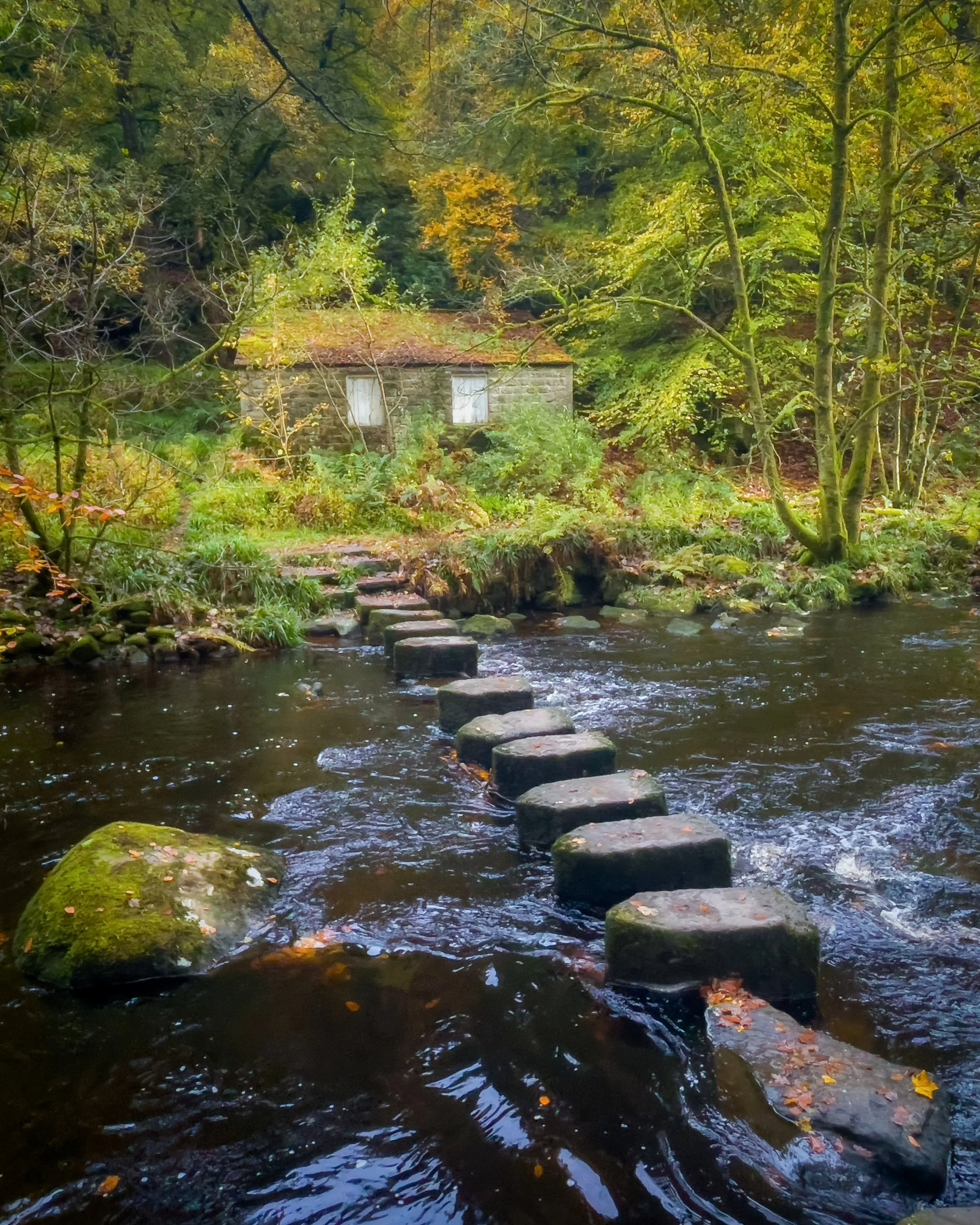 "Stepping Stones at Hardcastle Crags"