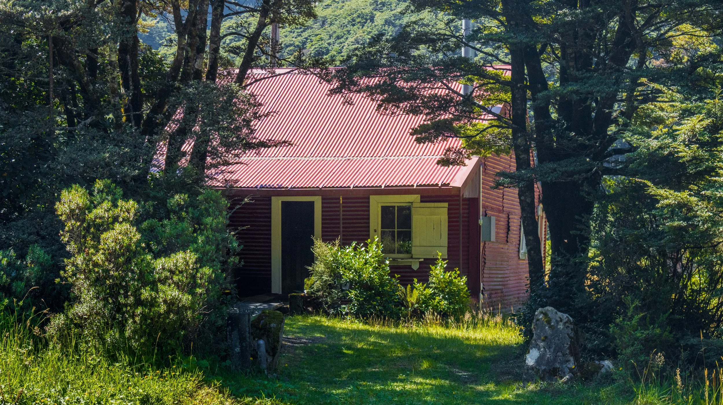 IMG_6915 copyweb.jpg