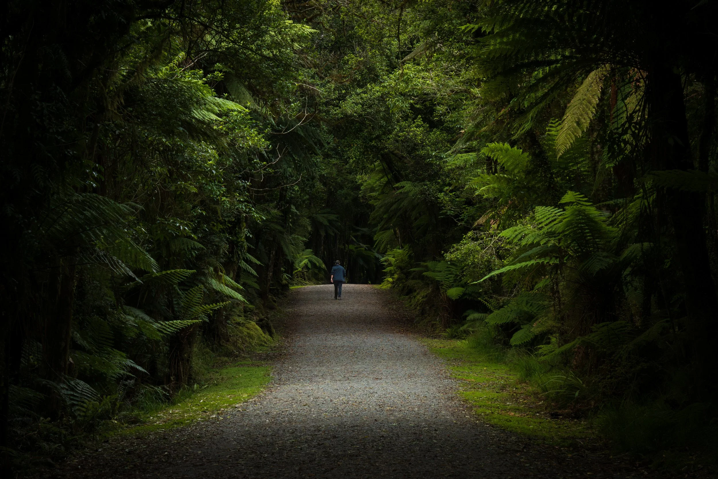 Approach to Fox Glacier, West Coast, New Zealand