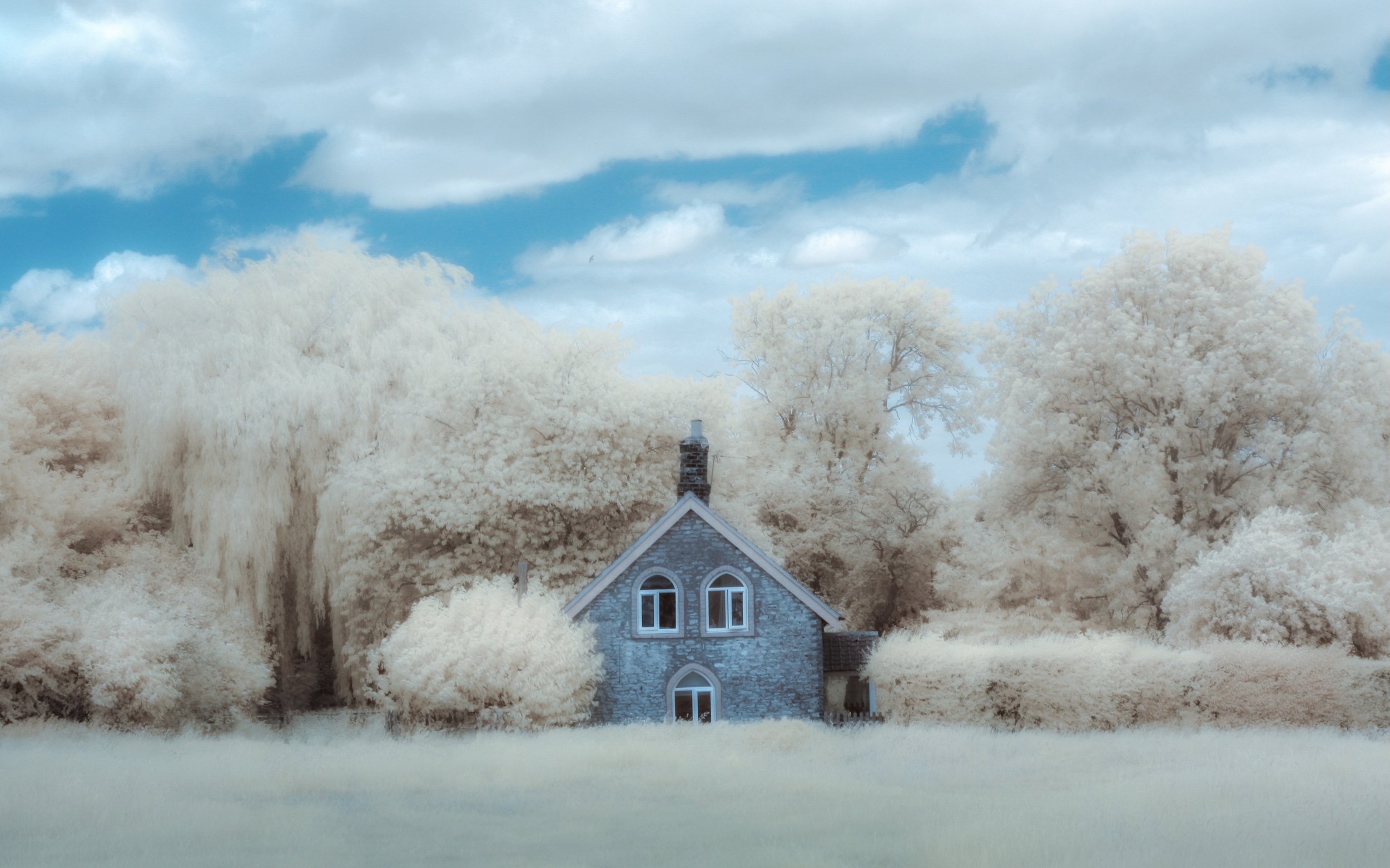 "The Gingerbread House" - FC