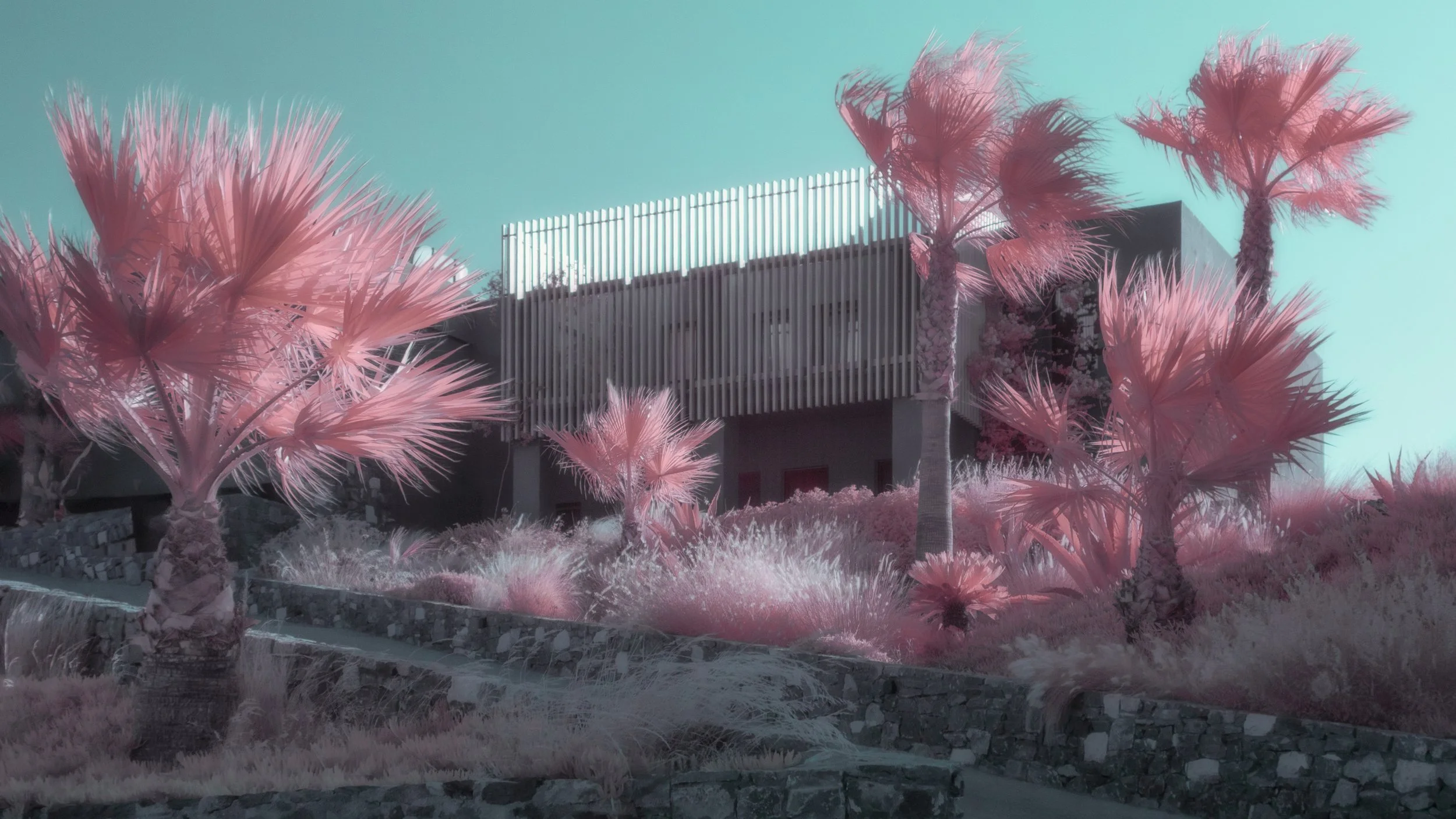 "Crete 2025 #4"