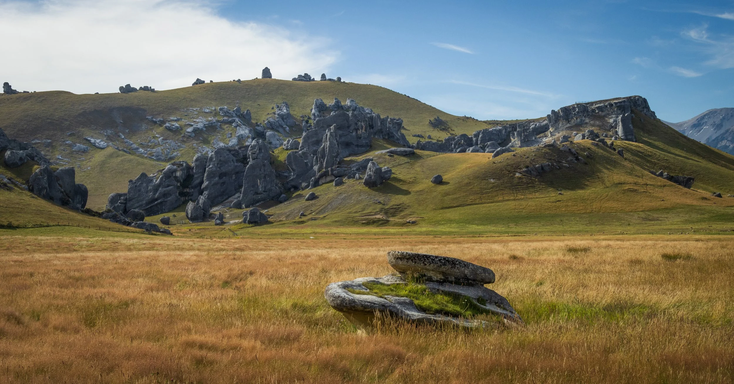 Castle Hill #5, New Zealand