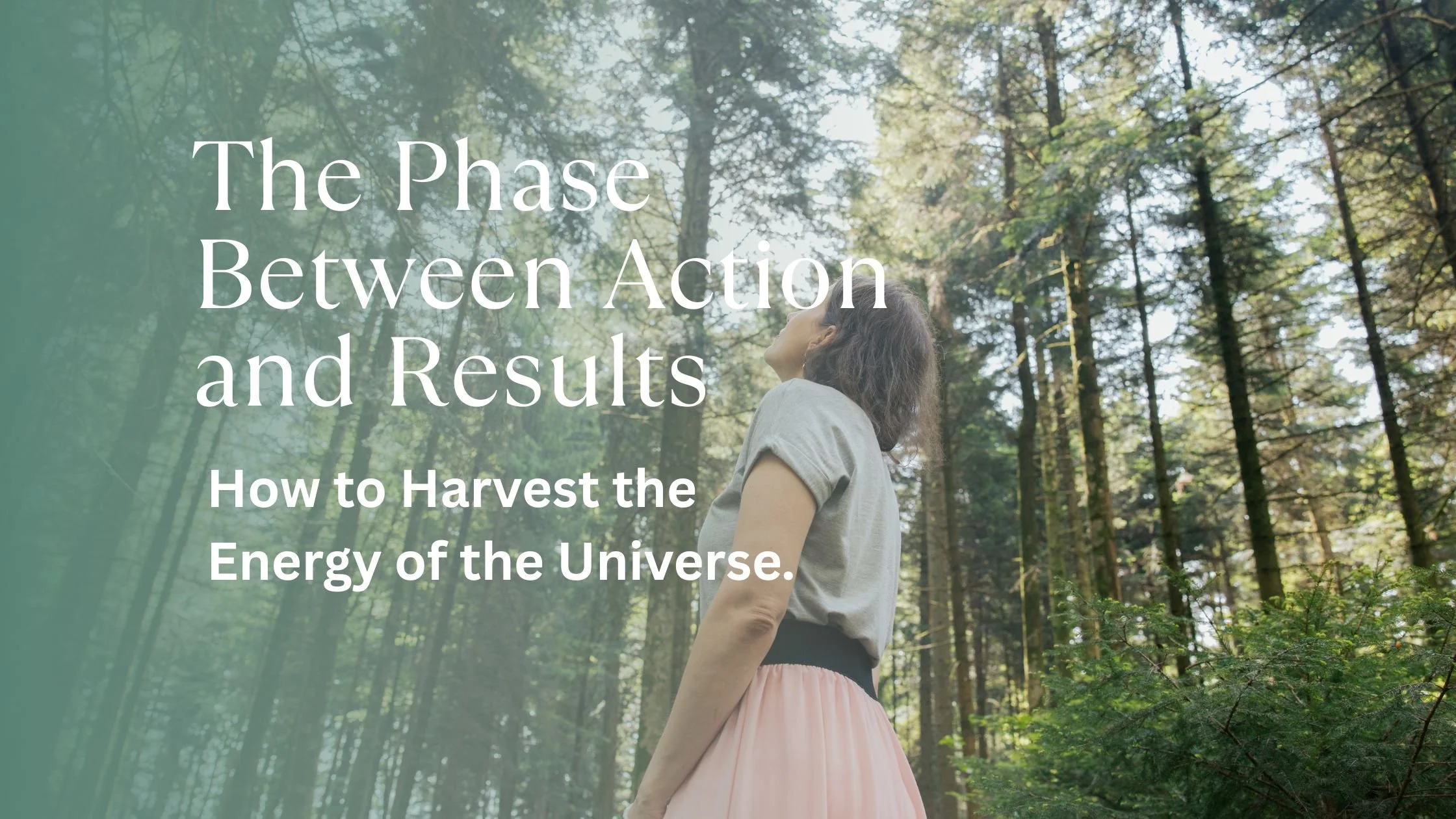 The Phase Between Action and Results - How to Harvest the Energy of the Universe.