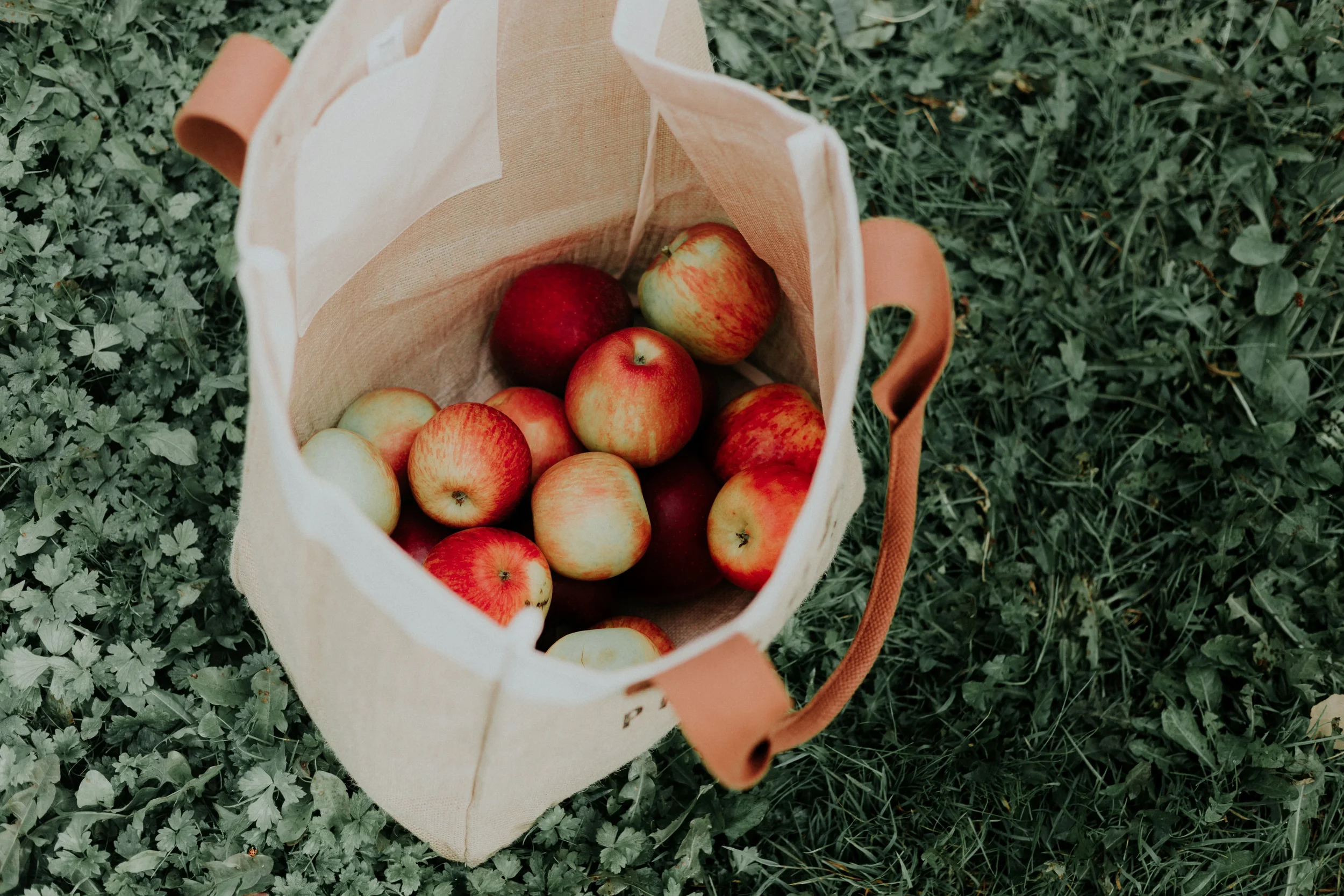  © Foto:  Priscilla Du Preez 🇨🇦  on  Unsplash  