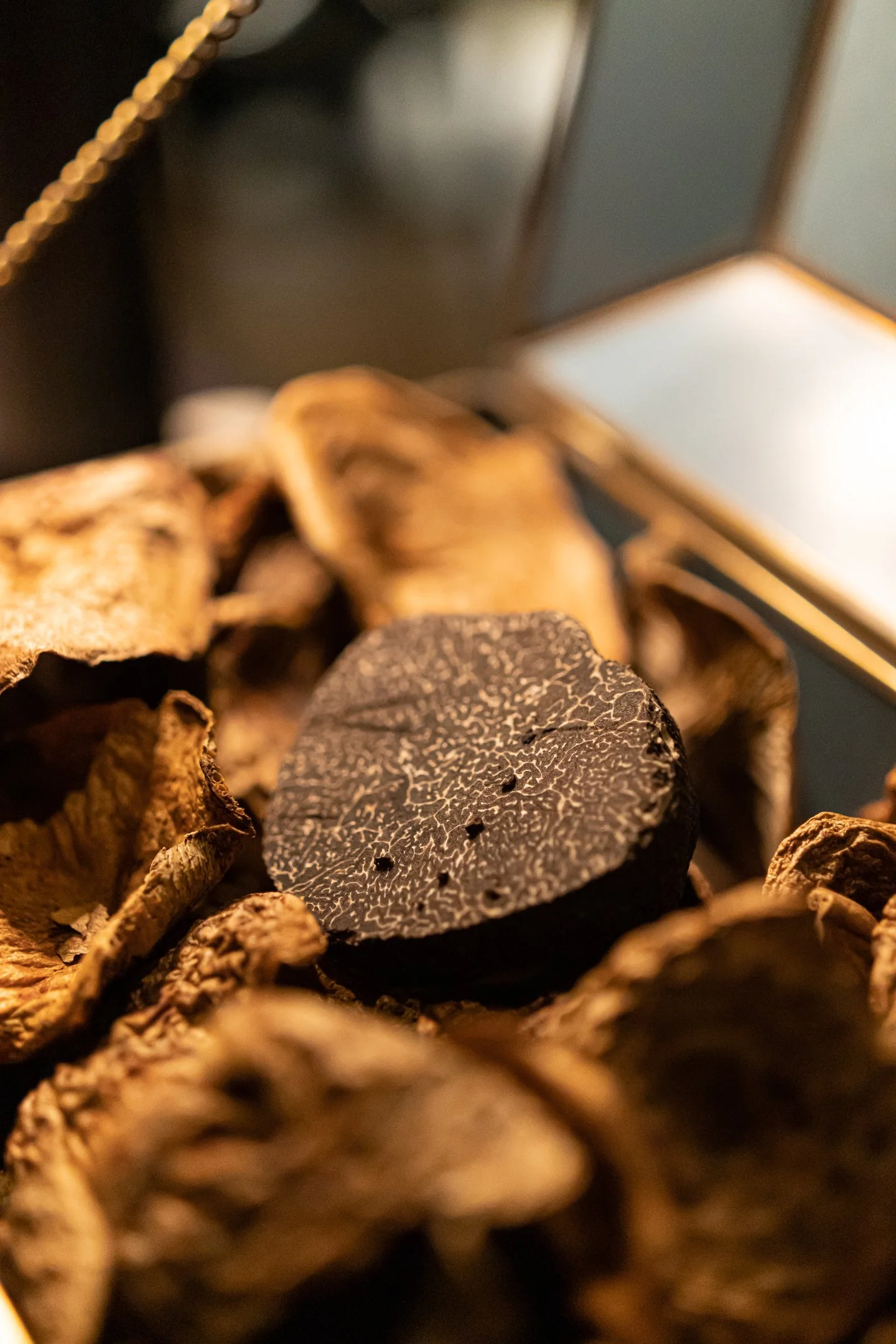 Cape at RACV Cape Schanck Resort, VIC, Australia. (Jul 2022)