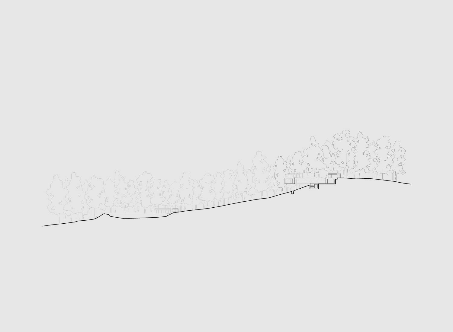 Section