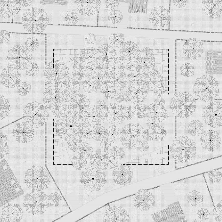 GEN021-ForestPlan-01-01-01.jpg