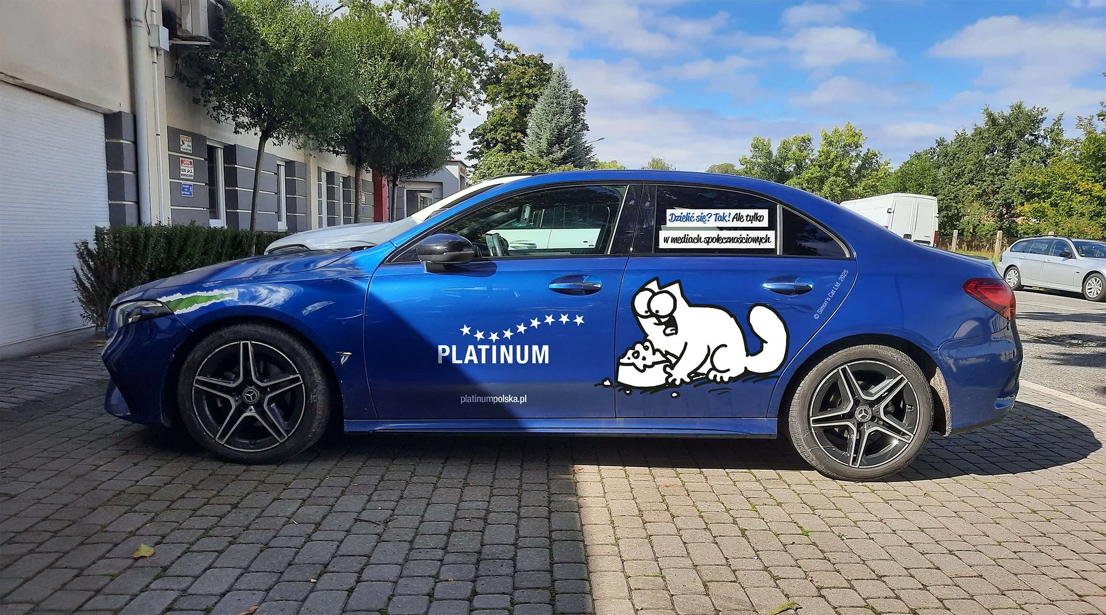 Simon's-Cat-Driver-site.jpg