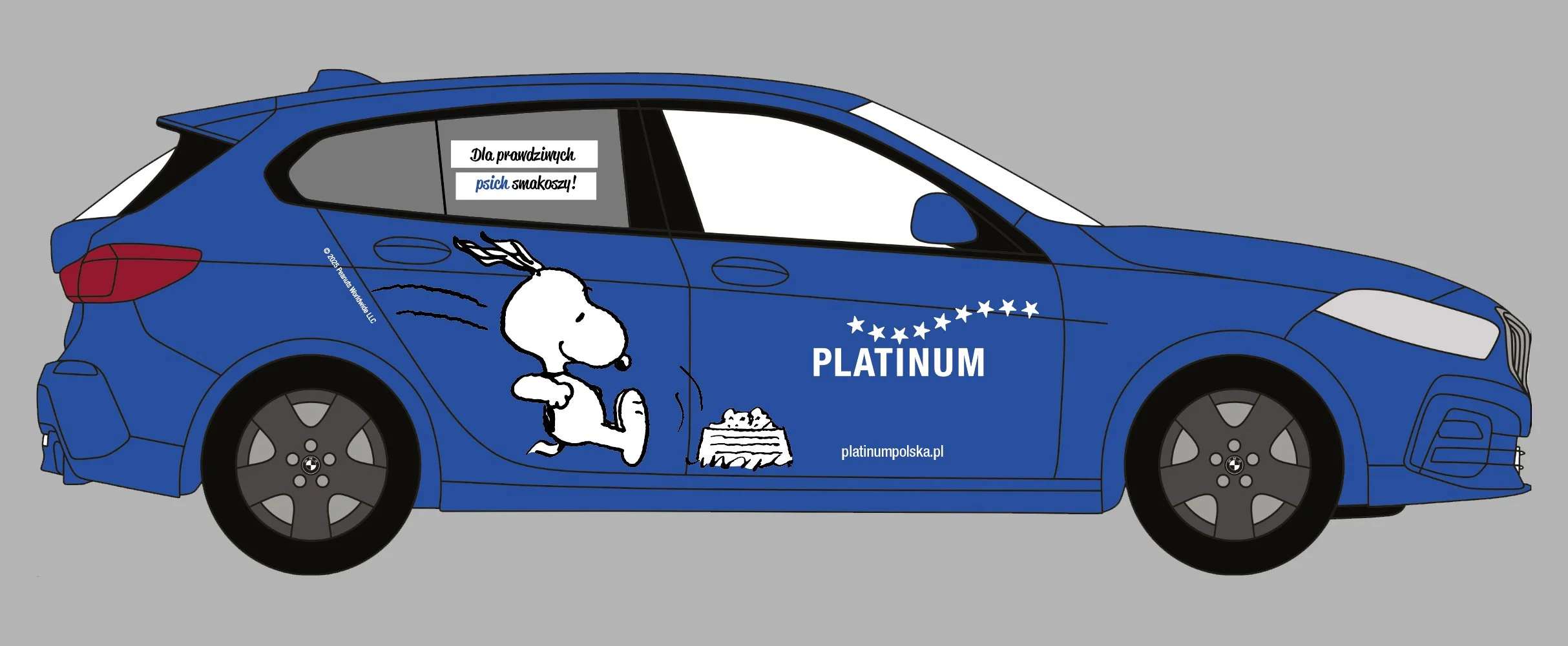 project-Snoopy-driver-site.jpg