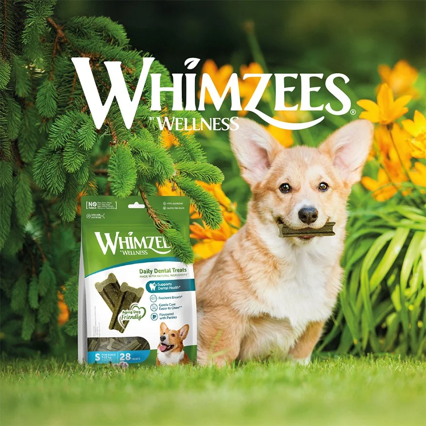 Whimzees-kartka-wysylkowa-Awers.jpg