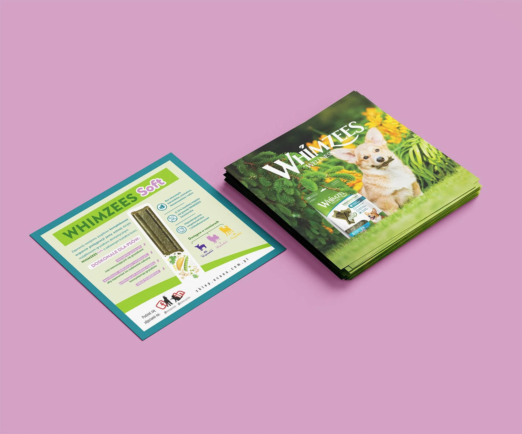 Square_Flyer_Mockup_Whimzees.jpg
