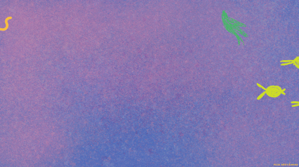 Obraz1.gif