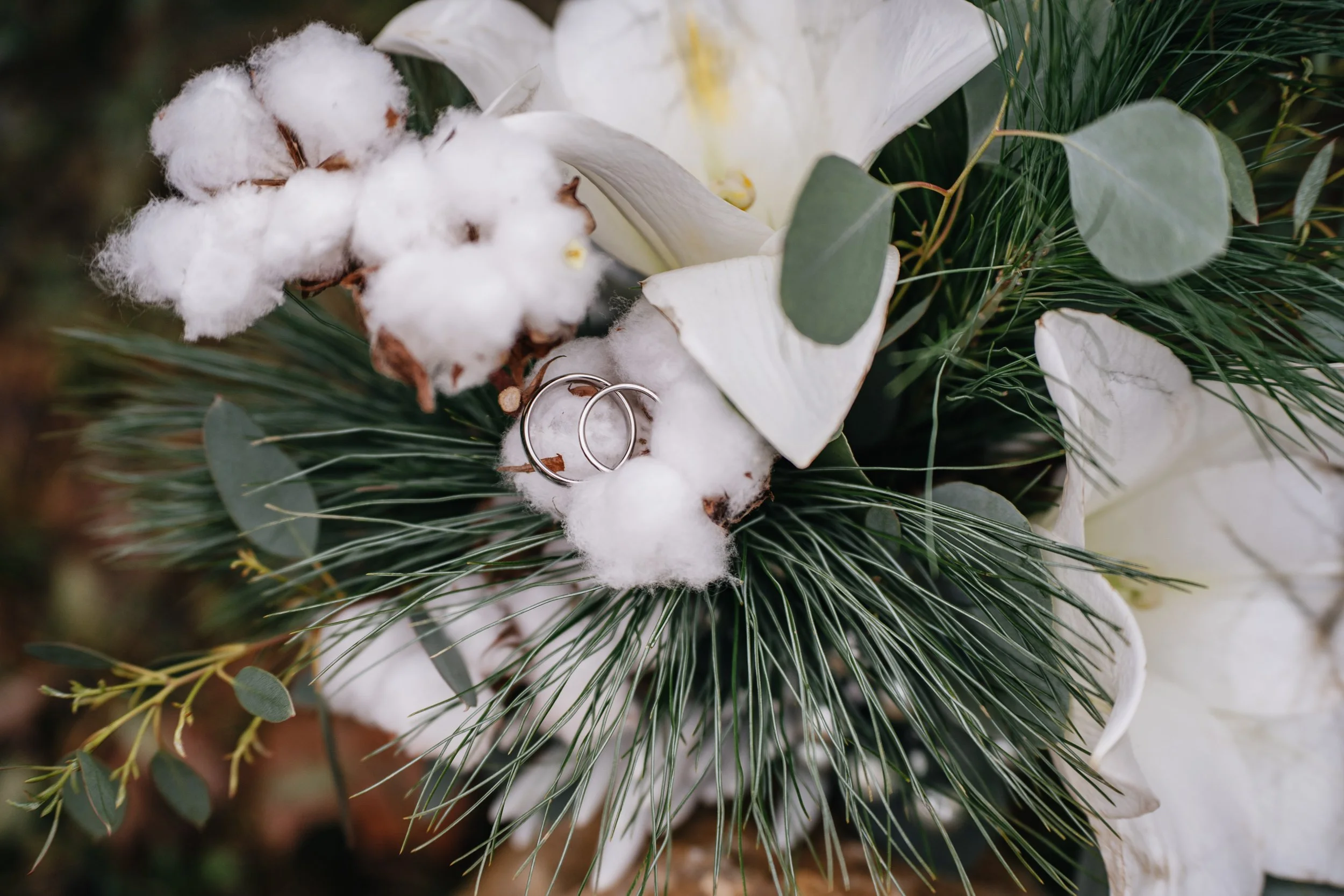 TeGaFOTO_BR_SteffiundDomi (2)-2.jpg