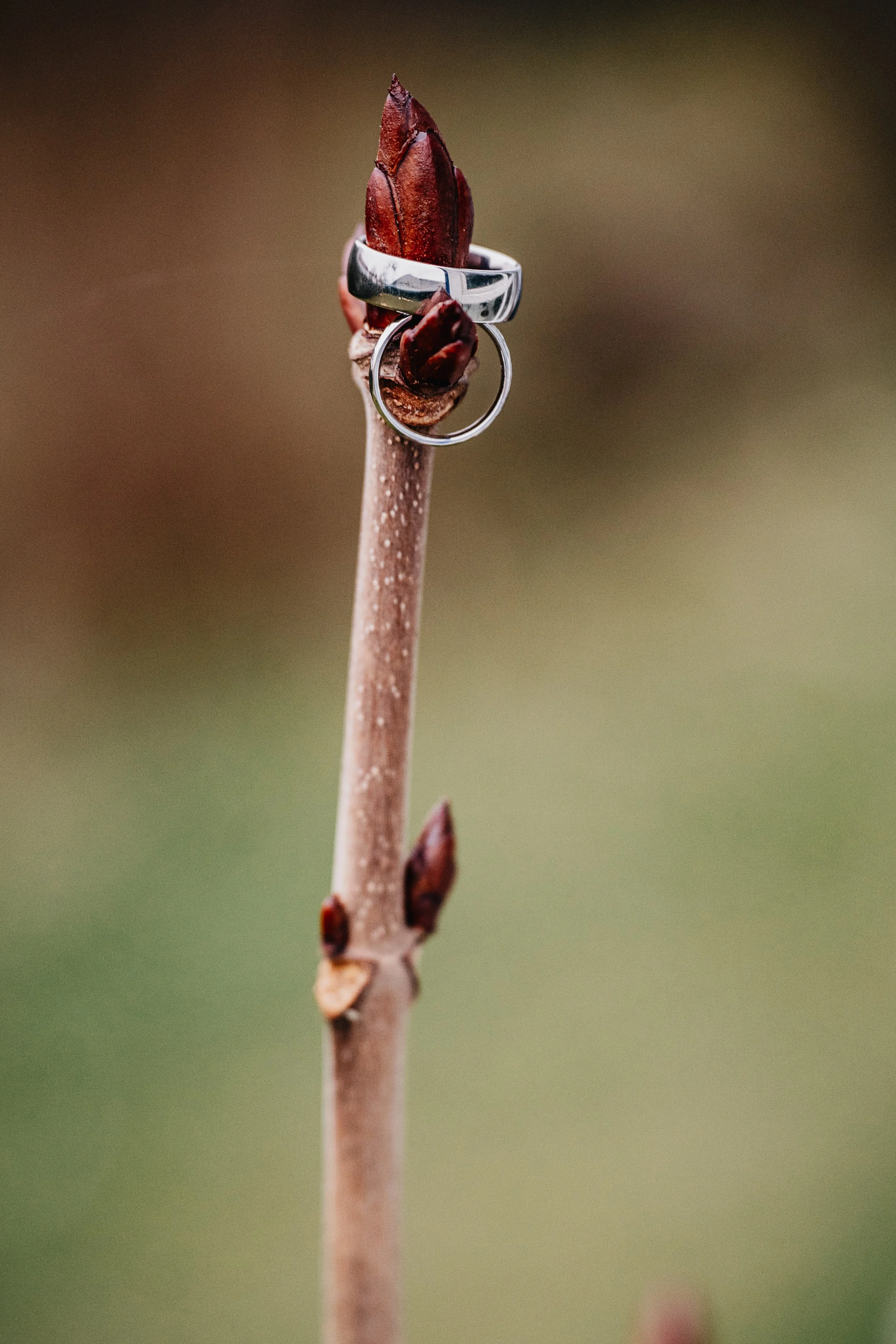 TeGaFOTO_BR_SteffiundDomi (5).jpg