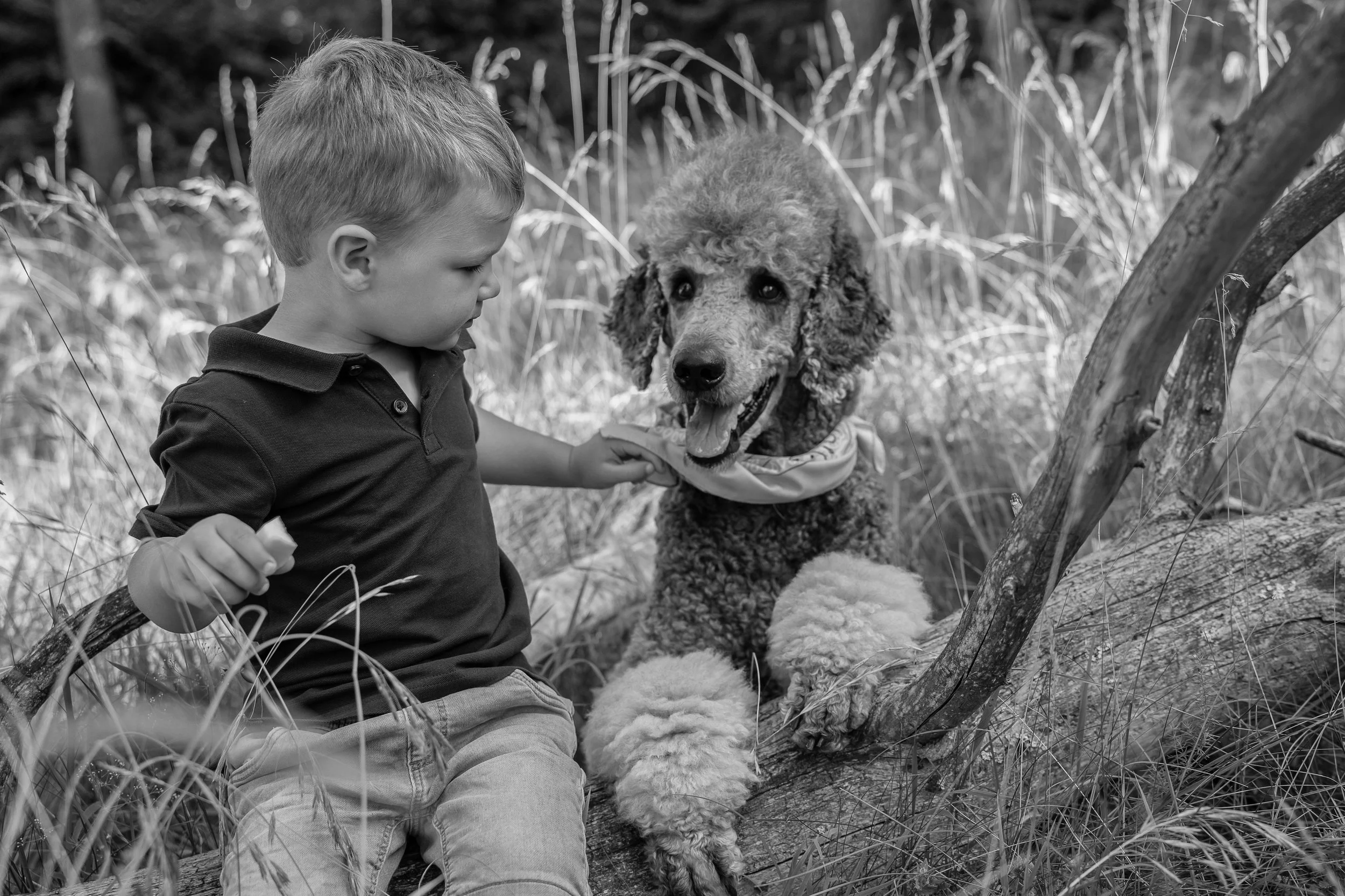 TTeGaFOTO_FamilieSchimmer (47)-2.jpg