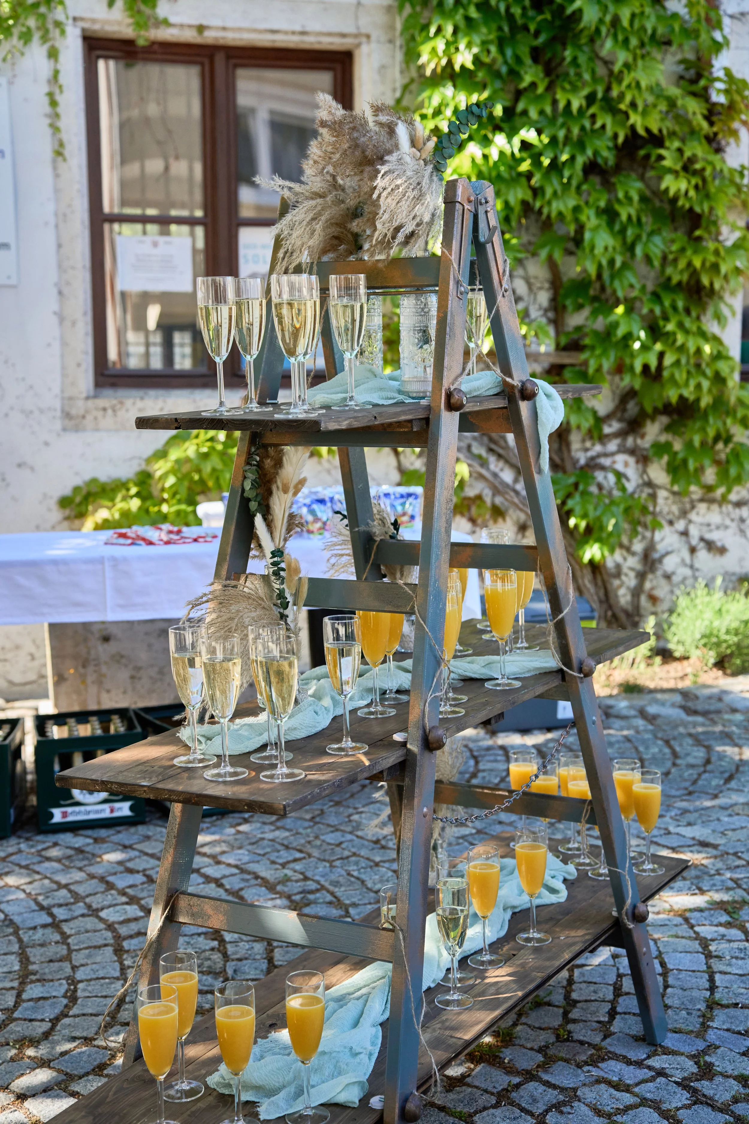 TeGaFoto (229)_11.jpg