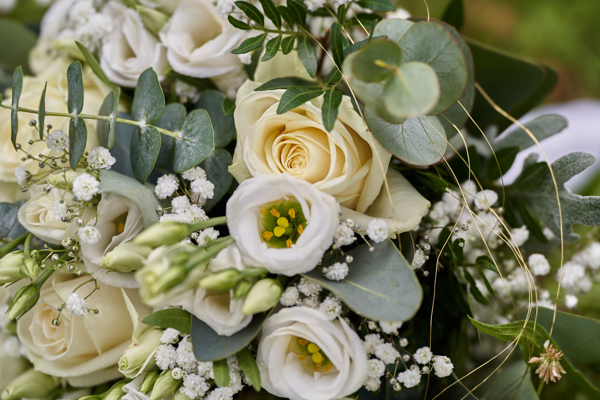 TeGaFOTO_BRA_TanjaundMax (4).jpg