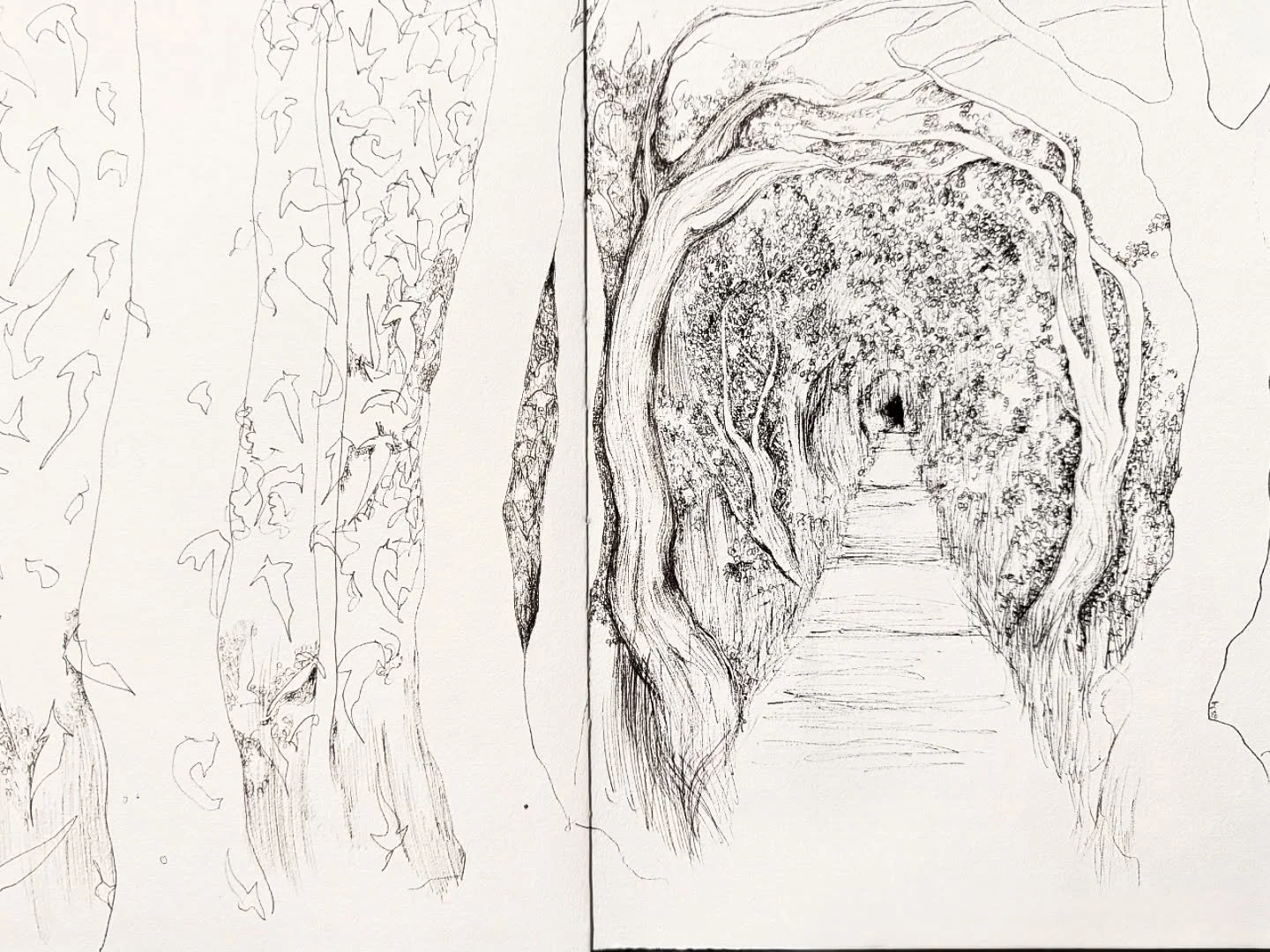 Believe it or not, this was actually lovely walk in the woods, not the eerie forest of horror that it suggests! But then again maybe I&rsquo;m reading it differently to you because my brain has not been my best friend of late.

Anyway I&rsquo;m glad 