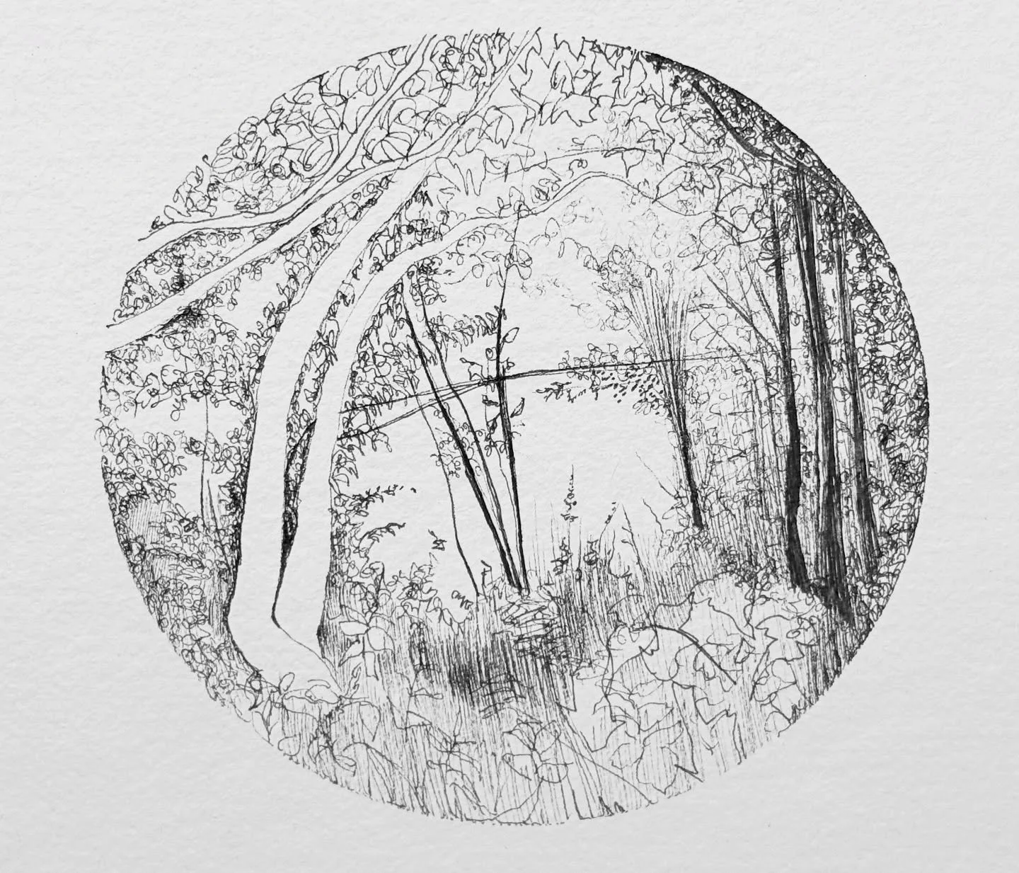 Just a Saturday in the wild with a pen and some handmade paper.