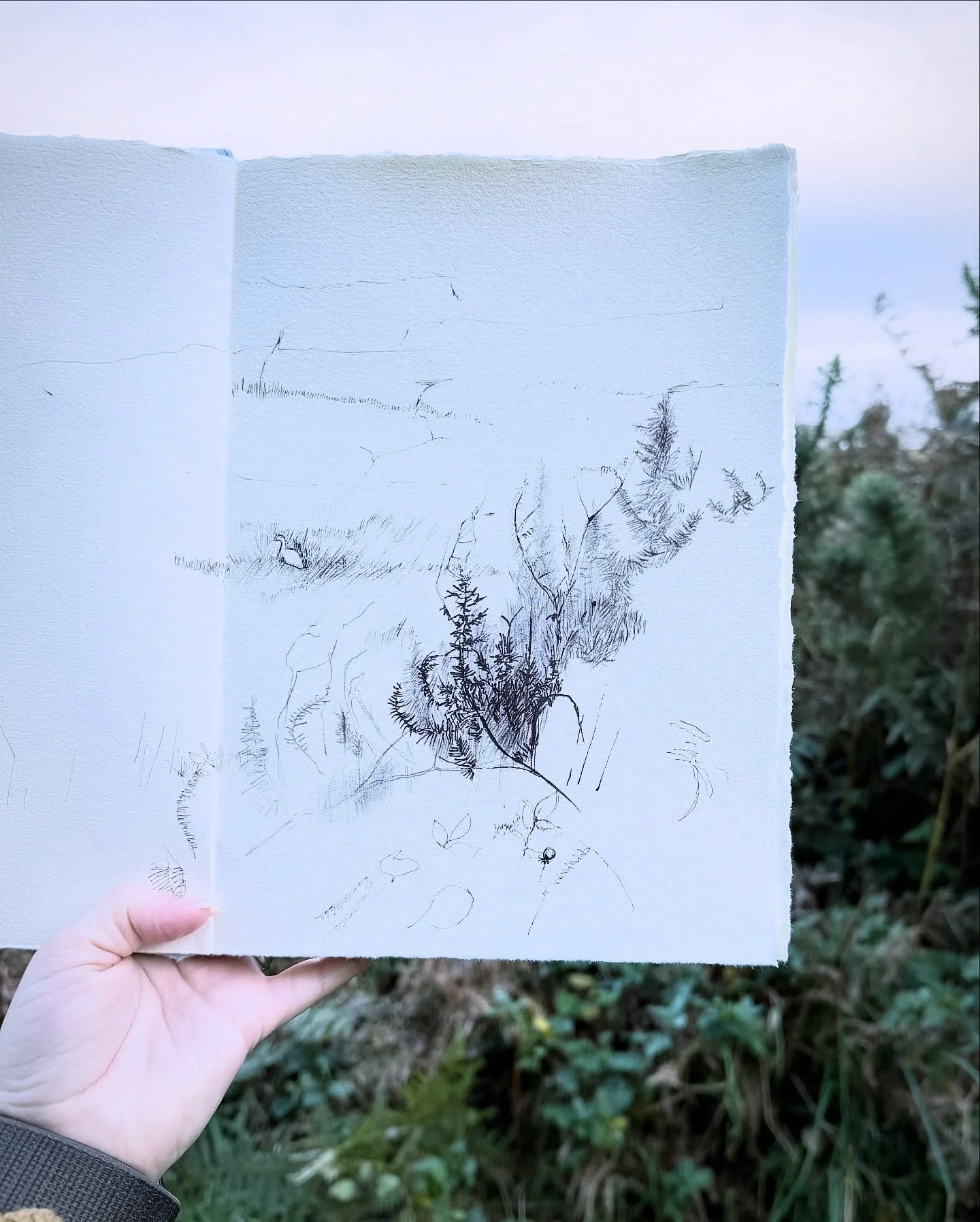 Nothing like drawing outside on a autumn morning, the sun was rising and the moon was also saying hello!