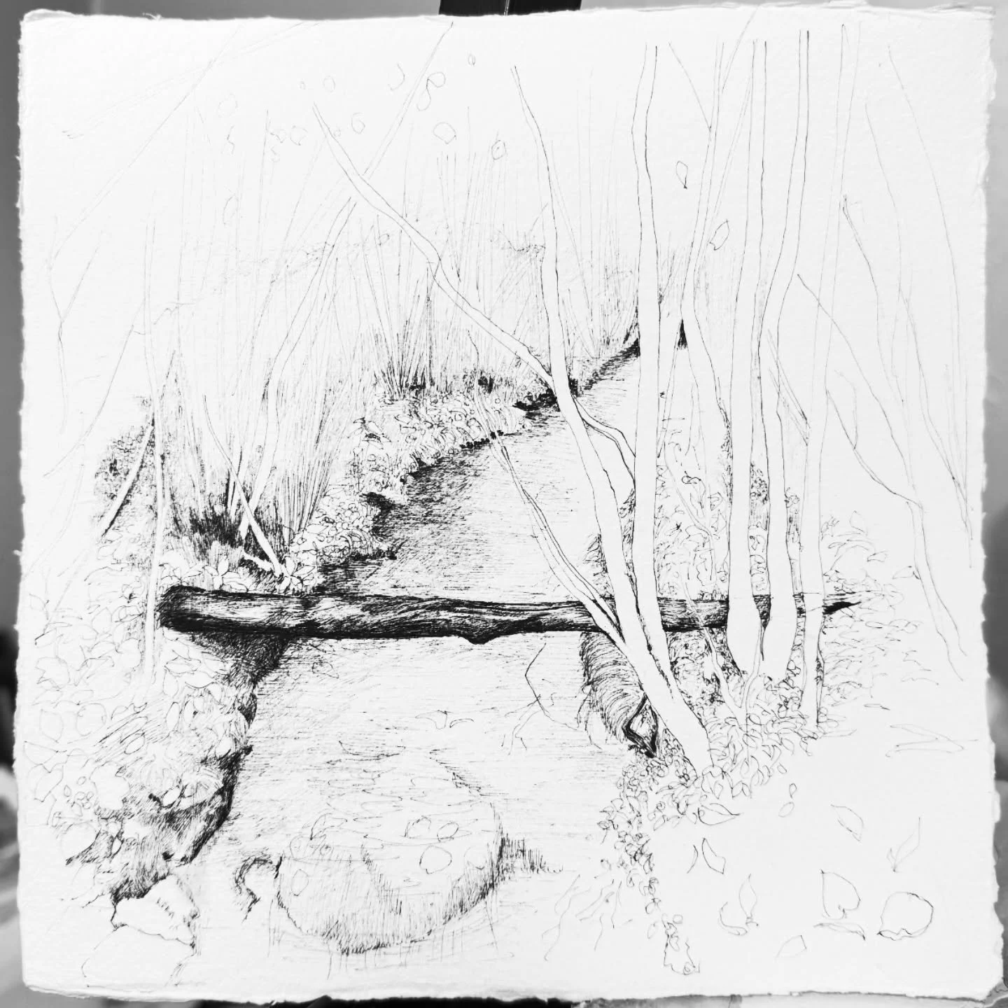 Finally a bit of time to draw.