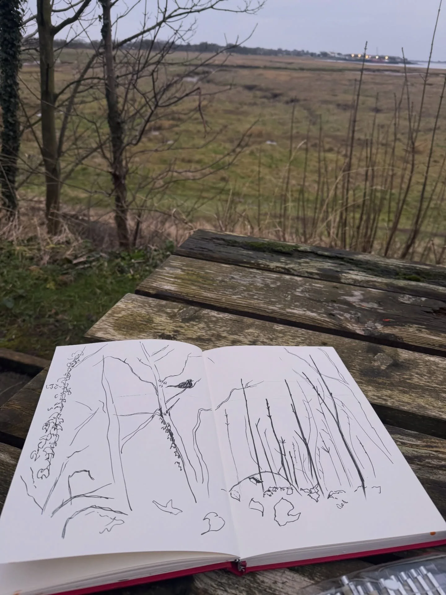 Sometimes sketching outside isn&rsquo;t very pretty, in fact, it&rsquo;s very cold and makes your toes fall off. That was hyperbolic. My feet were very cold though. That&rsquo;ll teach me to go outside in the morning in January.