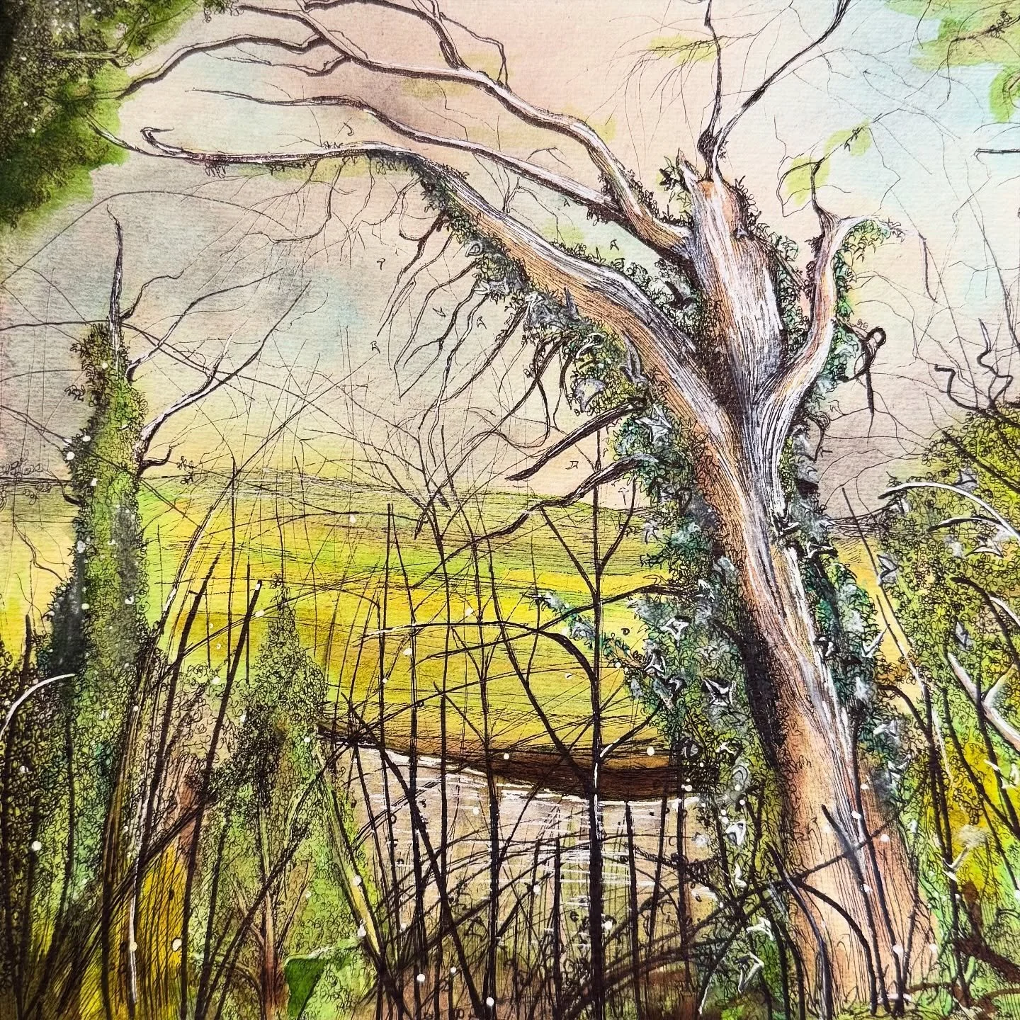Kirkby Lonsdale trees! Created with ink and watercolour.