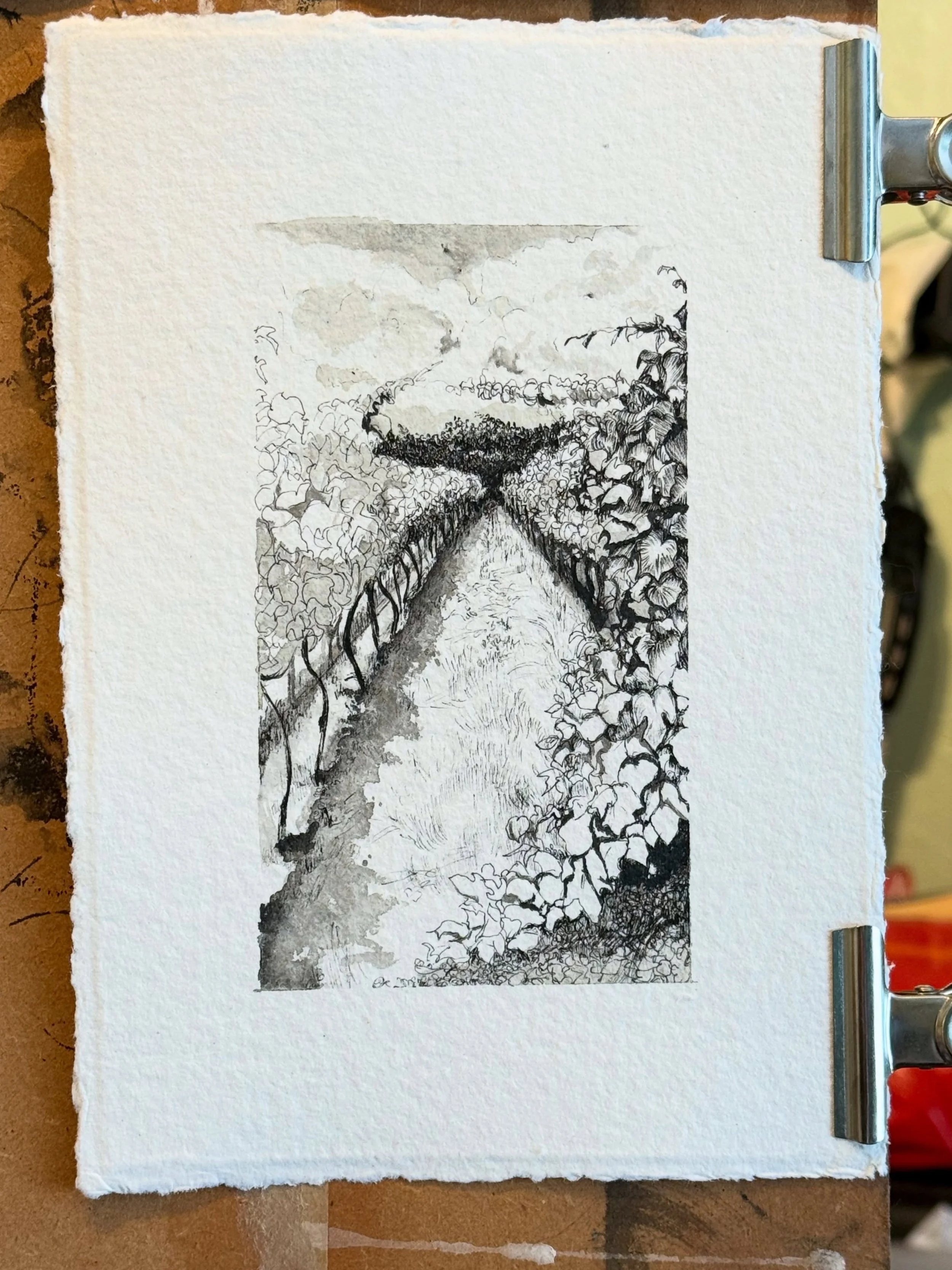 Volcanoes &amp; vineyards on the drawing board.