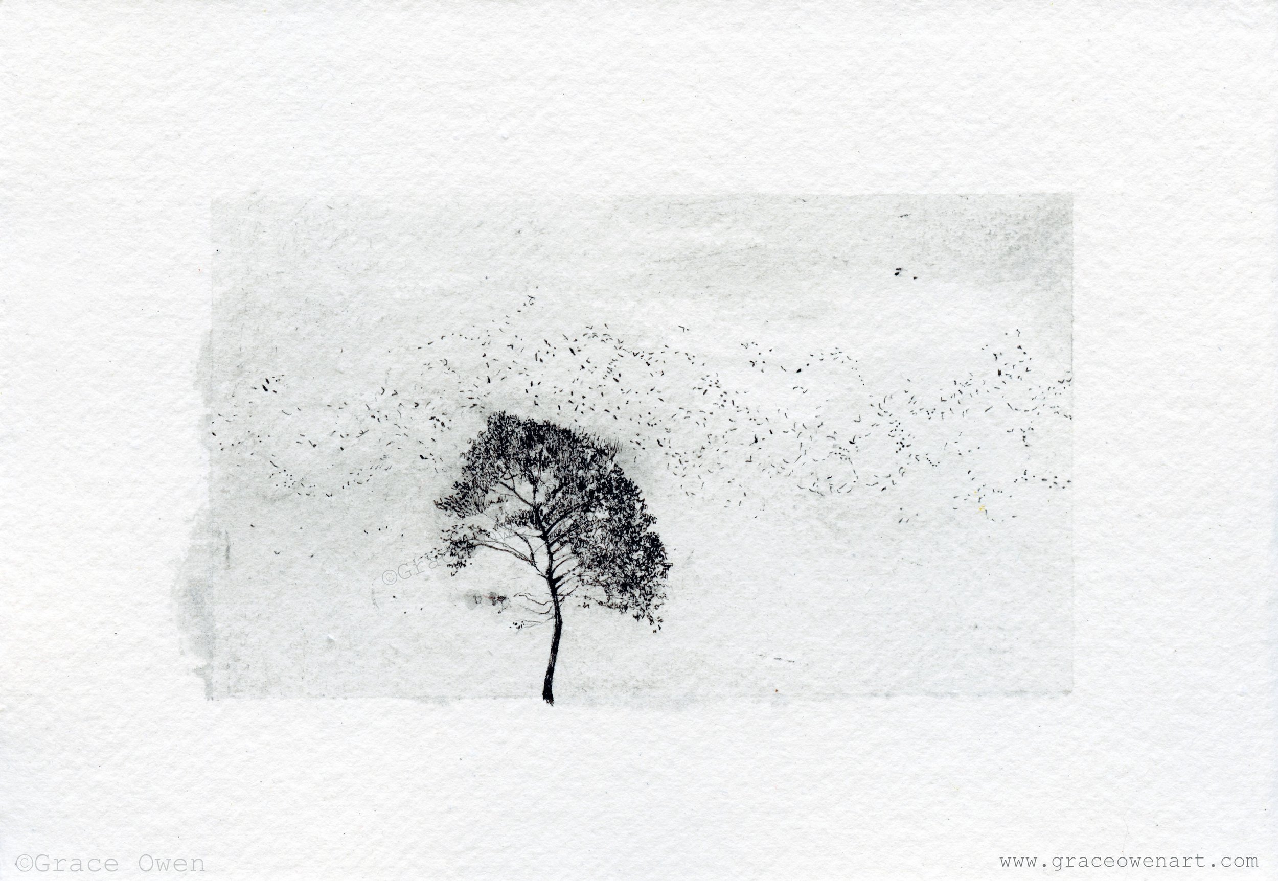 New Murmuration. Ink. May 2026.

I&rsquo;ve been a little dormant lately, I haven&rsquo;t posted much on here or added new prints to my collection. After my last exhibition, I took a little breather. Sometimes you question whether you want to keep do