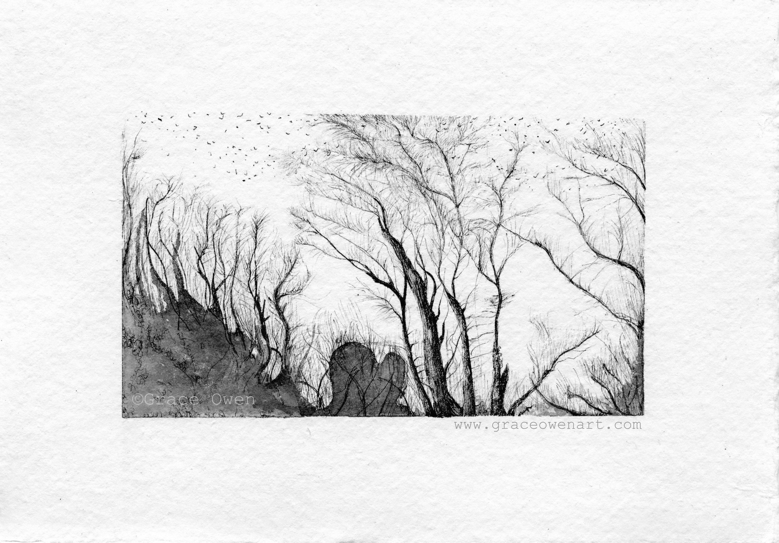 &ldquo;A forest you&rsquo;ll never find, unless you follow the skyline&ldquo;, Ink, May, 2026.

I forgot how much I love giving my artwork long, ambiguous titles that could mean nothing or everything. Ooo, I&rsquo;m so mysterious 😂