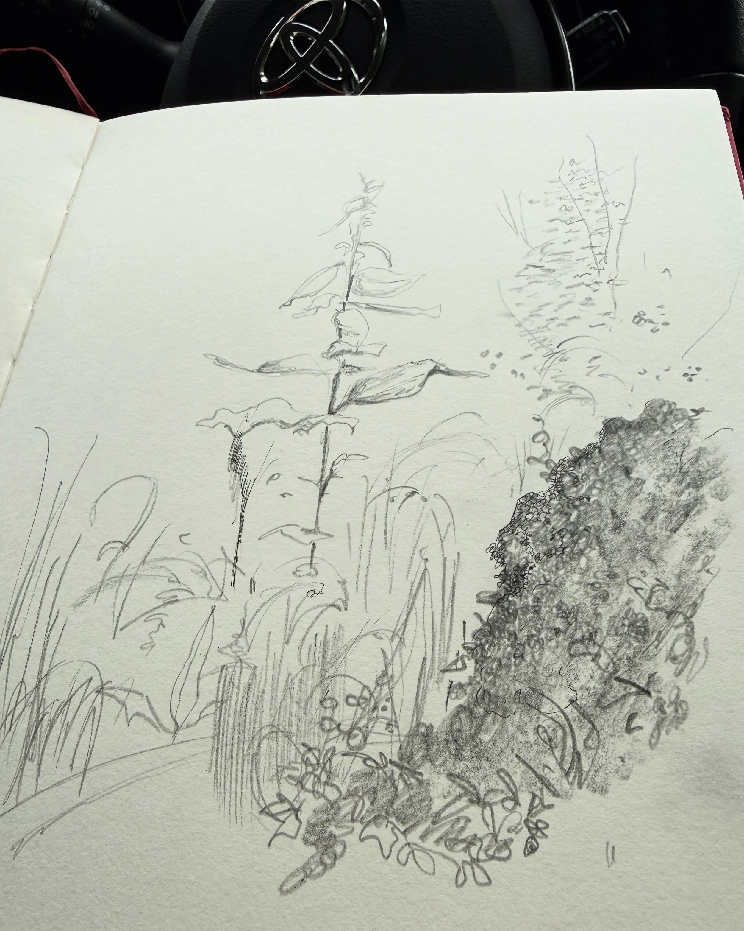 Rainy day, sketching in the car. Listening to Evanescence. 

#livingmybestlife