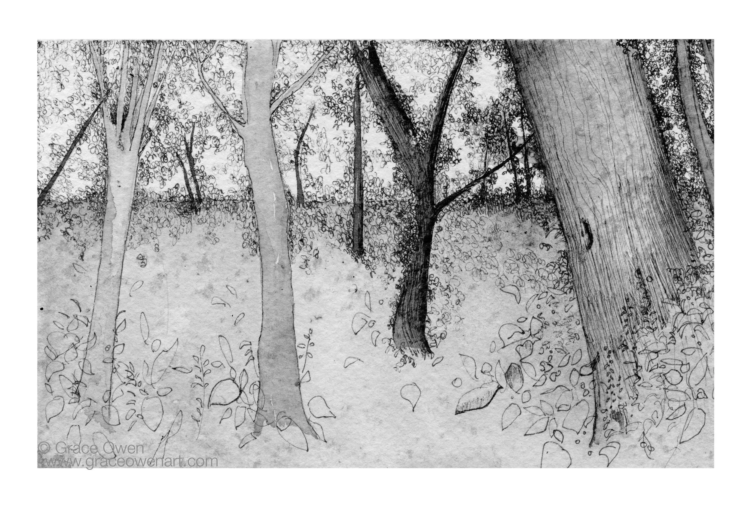 ForestDreaming+web.jpg