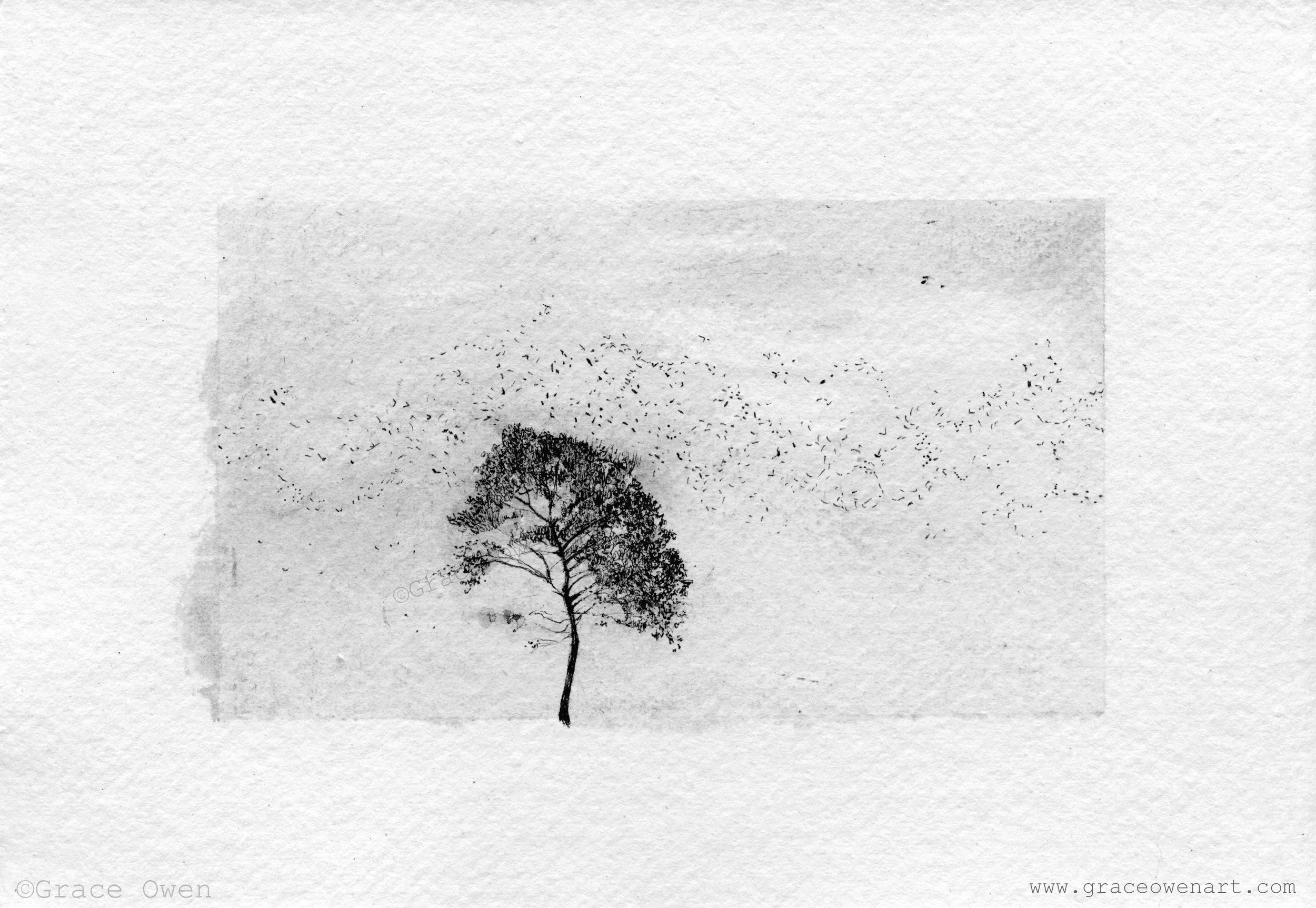 Murmuration+Tree+copy.jpg
